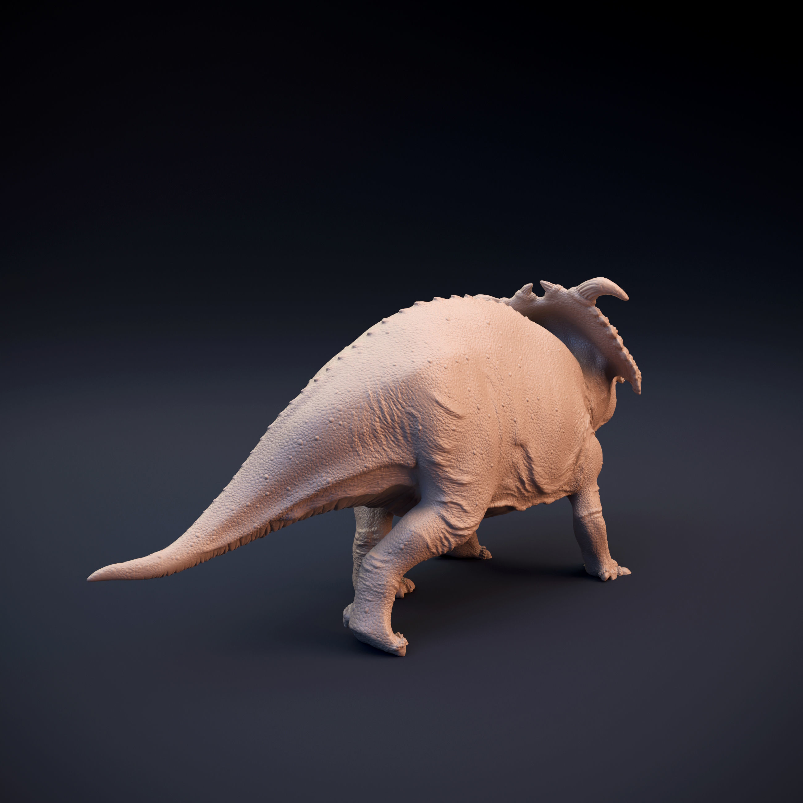 Pachyrhinosaurus intended for 3D printing 3D print model_5