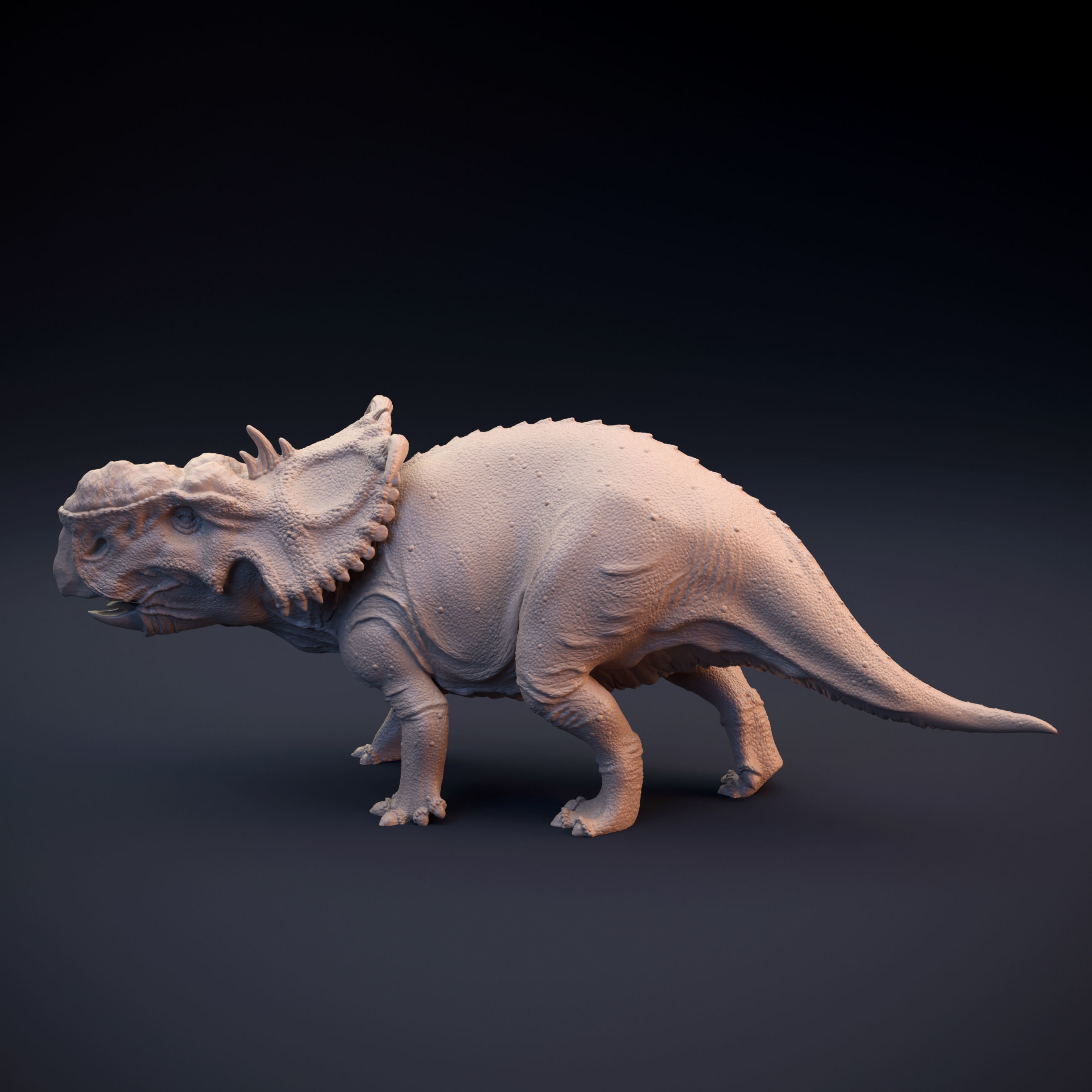 Pachyrhinosaurus intended for 3D printing 3D print model_8