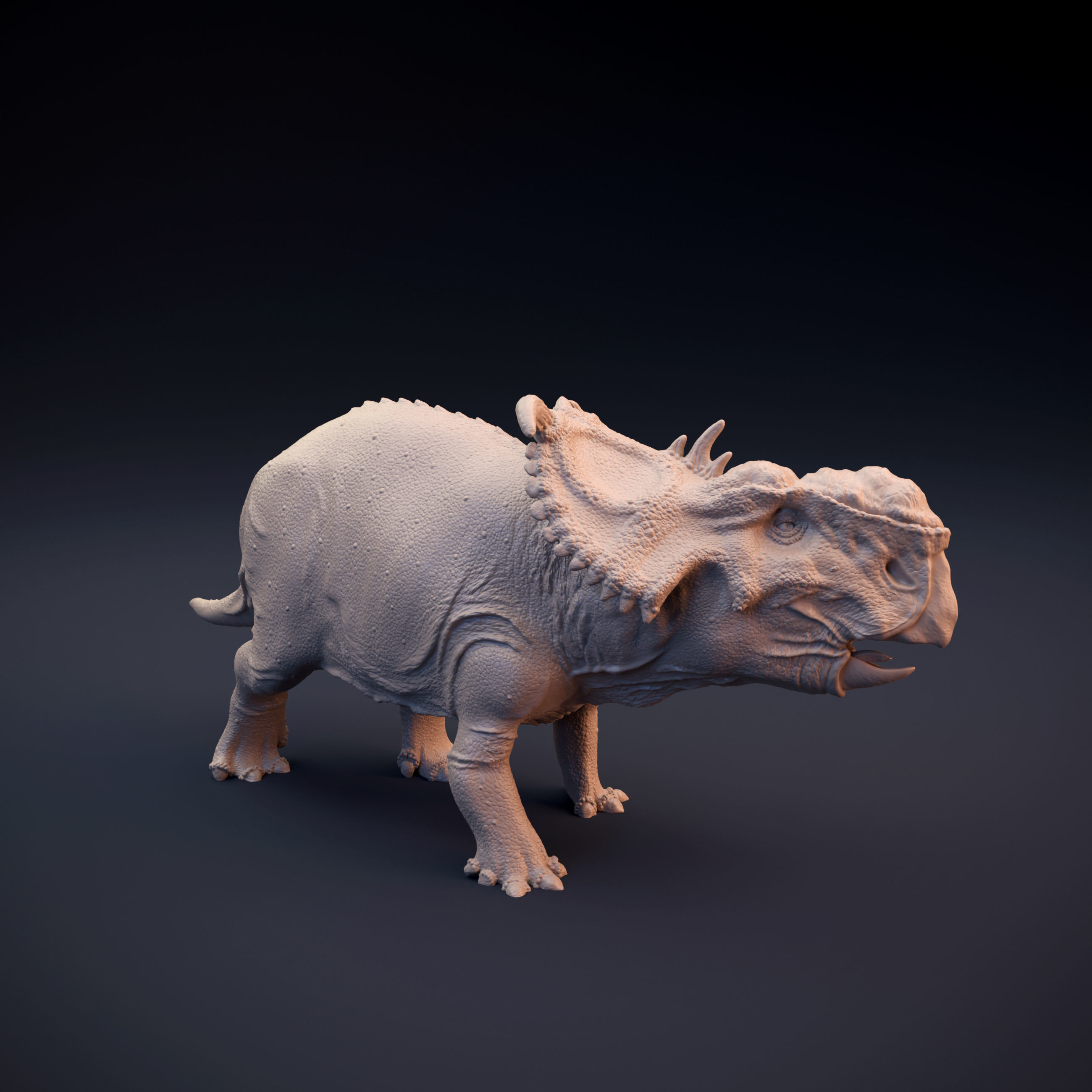 Pachyrhinosaurus intended for 3D printing 3D print model_1