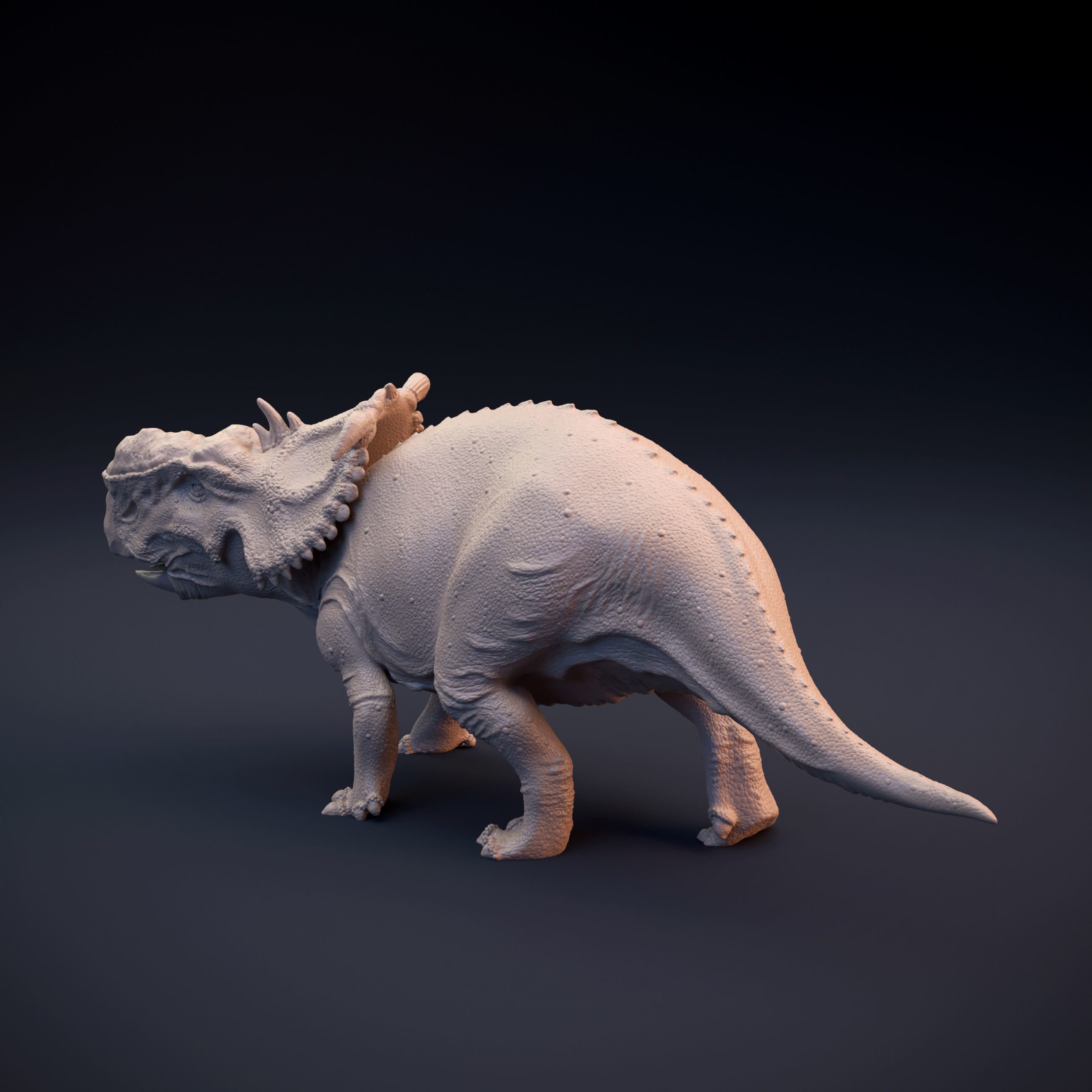Pachyrhinosaurus intended for 3D printing 3D print model_7