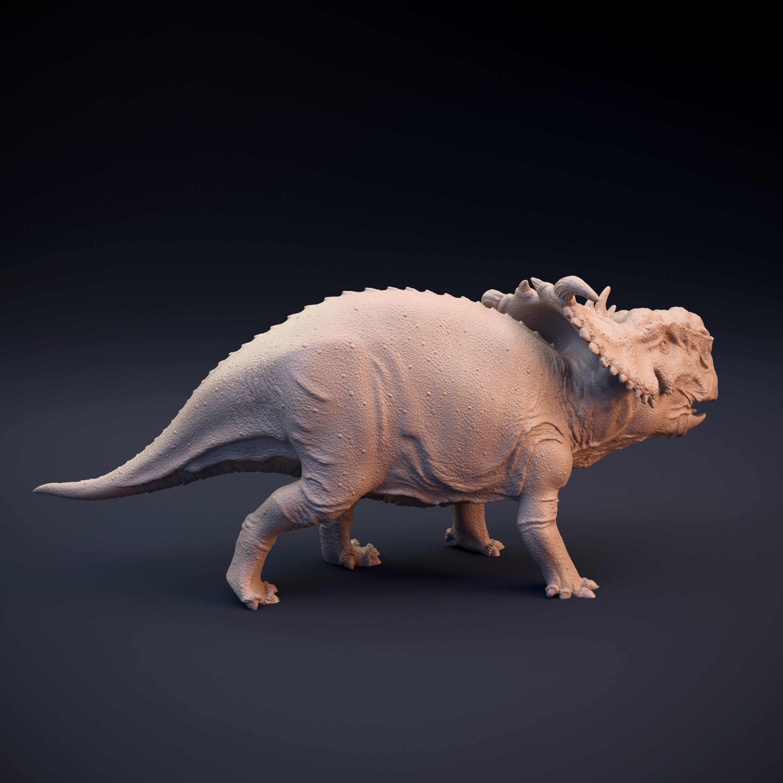 Pachyrhinosaurus intended for 3D printing 3D print model_4
