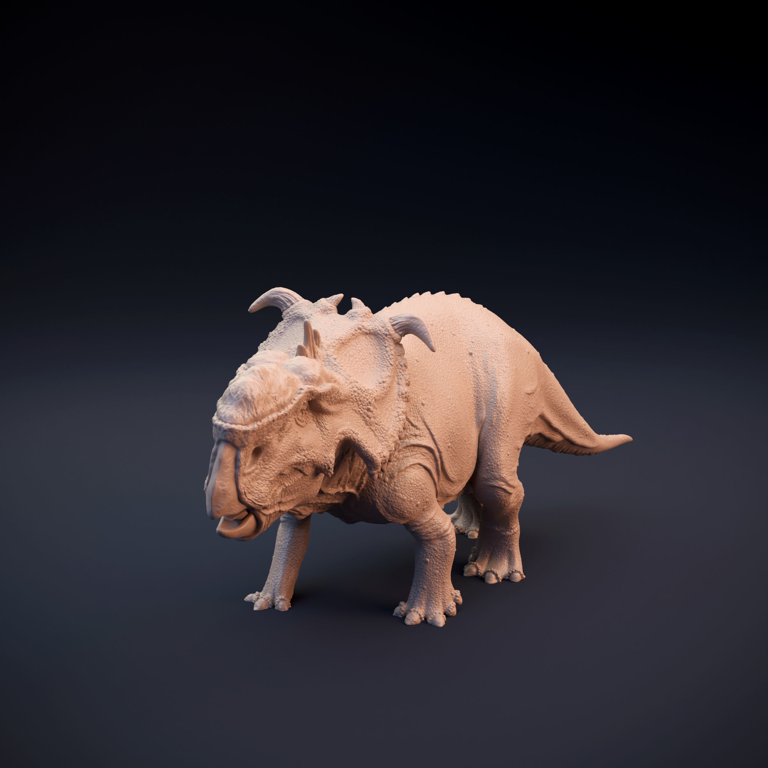 Pachyrhinosaurus intended for 3D printing 3D print model_2