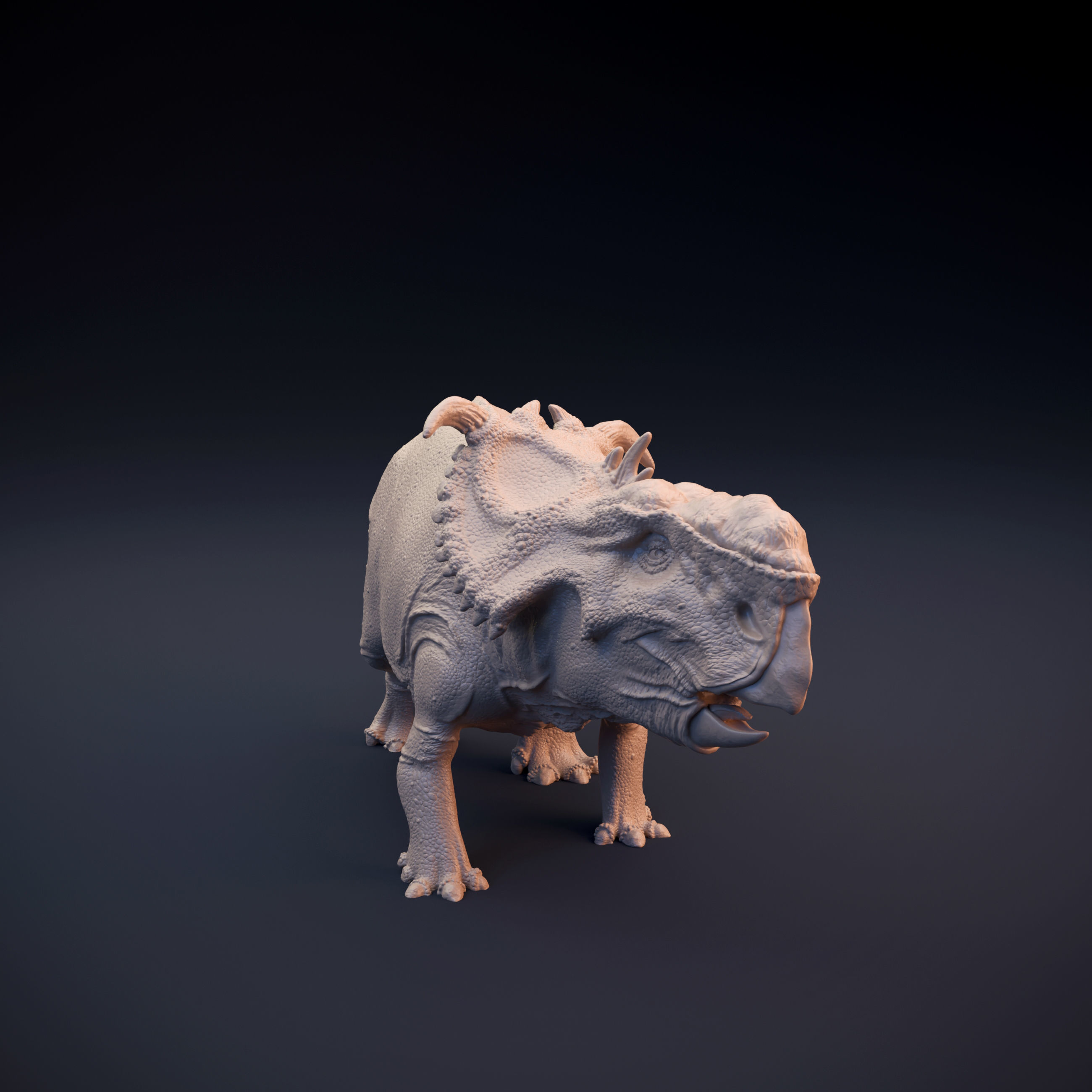 Pachyrhinosaurus intended for 3D printing 3D print model_3
