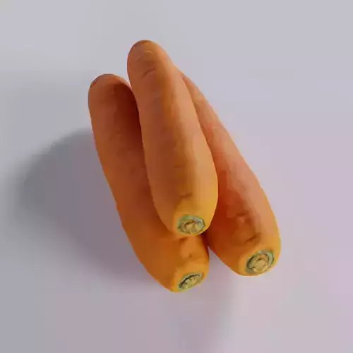 Carrot