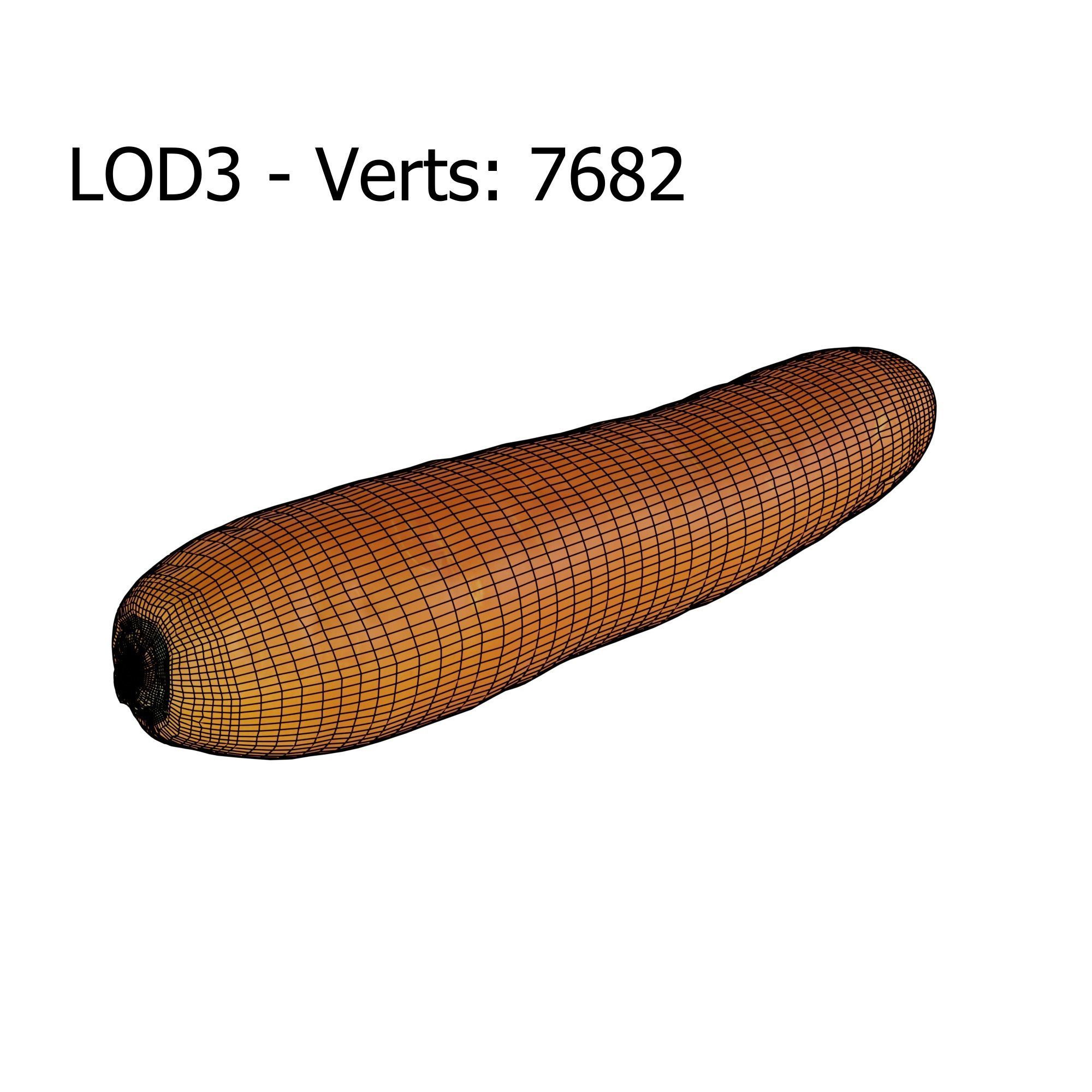 Carrot Low-poly 3D model_9