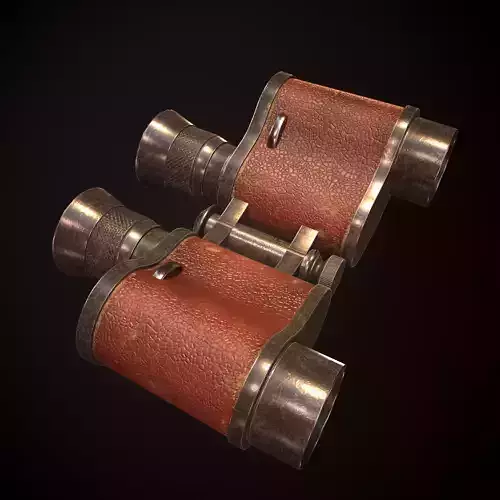 Old Binoculars