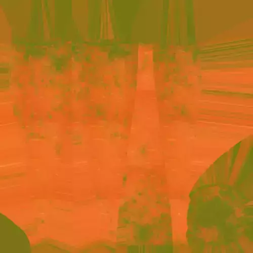 carrot carrots in orange background