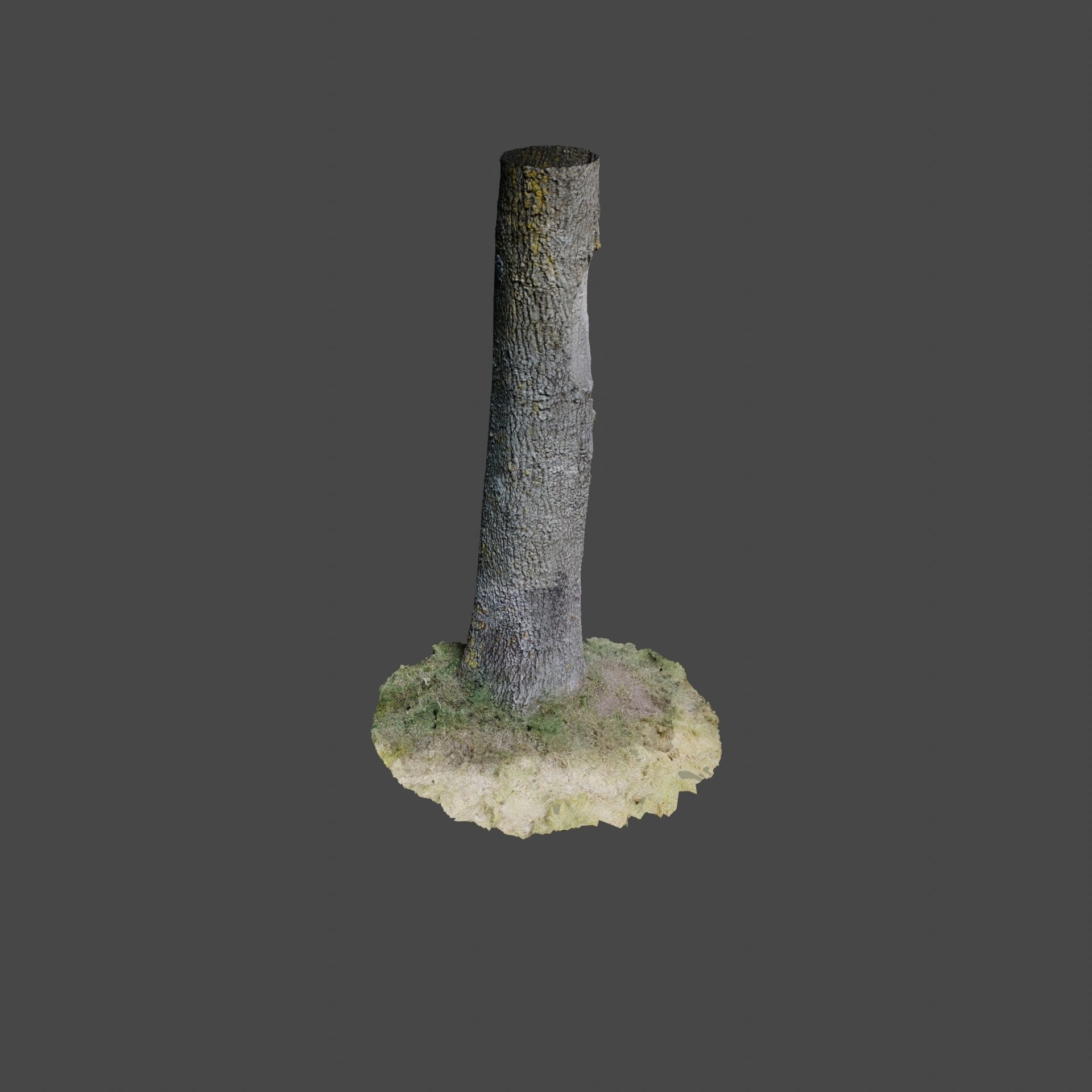 Tree 3 stump in middle of grassy field 3D model_1