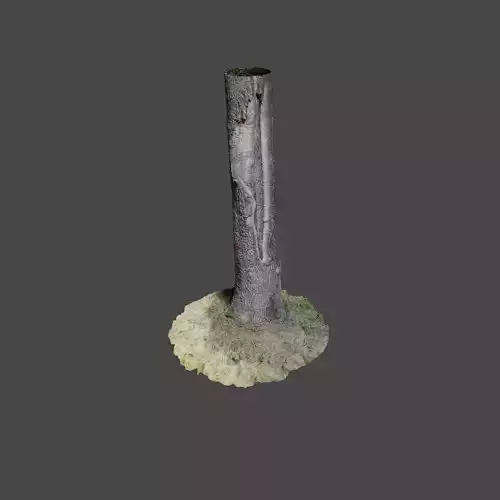 Tree 3 stump in middle of grassy field 3D model
