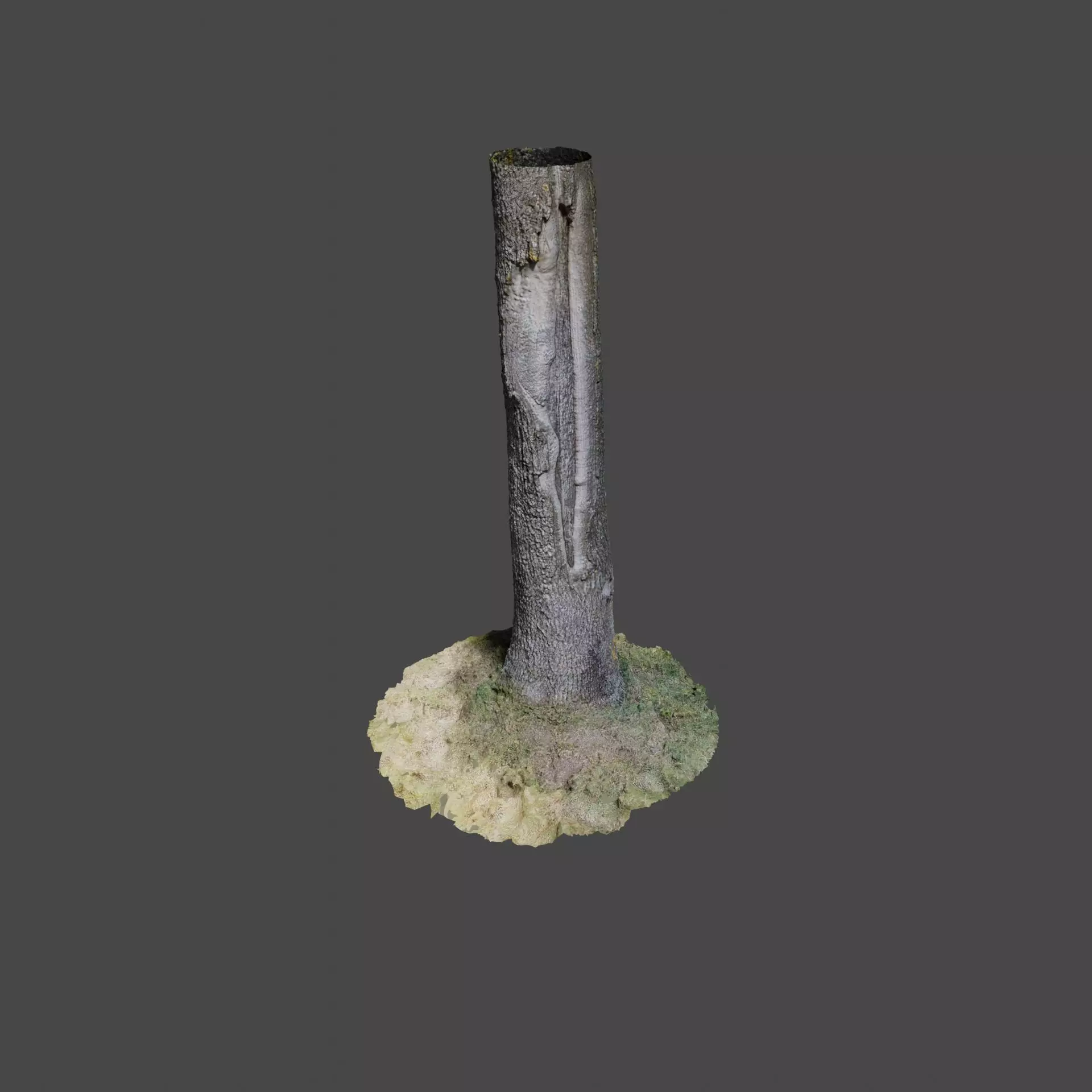 Tree 3 stump in middle of grassy field 3D model_0