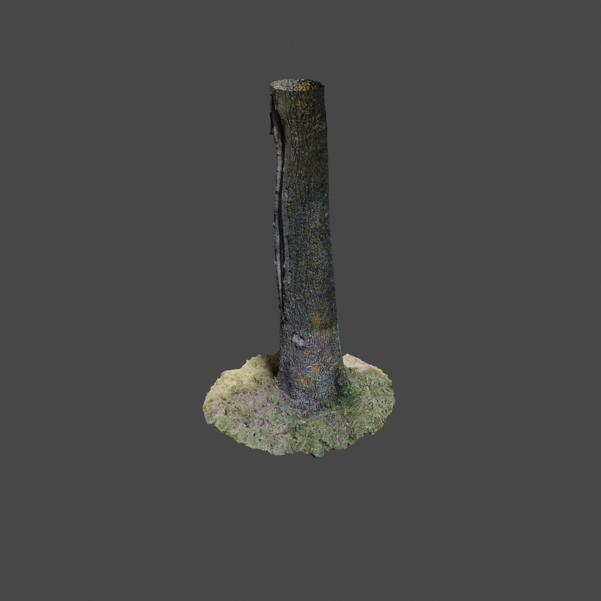 Tree 3 stump in middle of grassy field 3D model_3