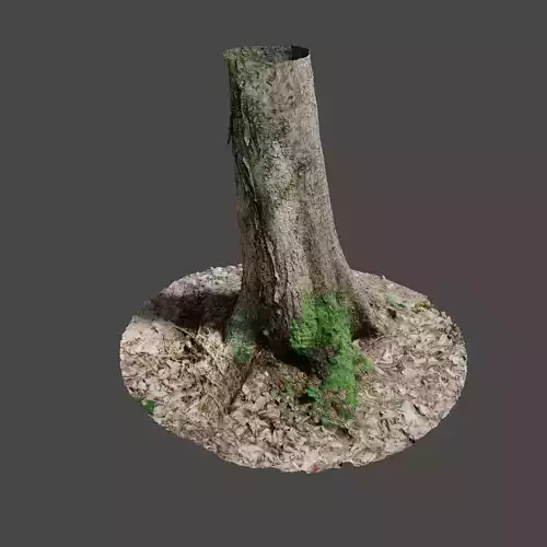 Tree 4 stump with moss 3D model