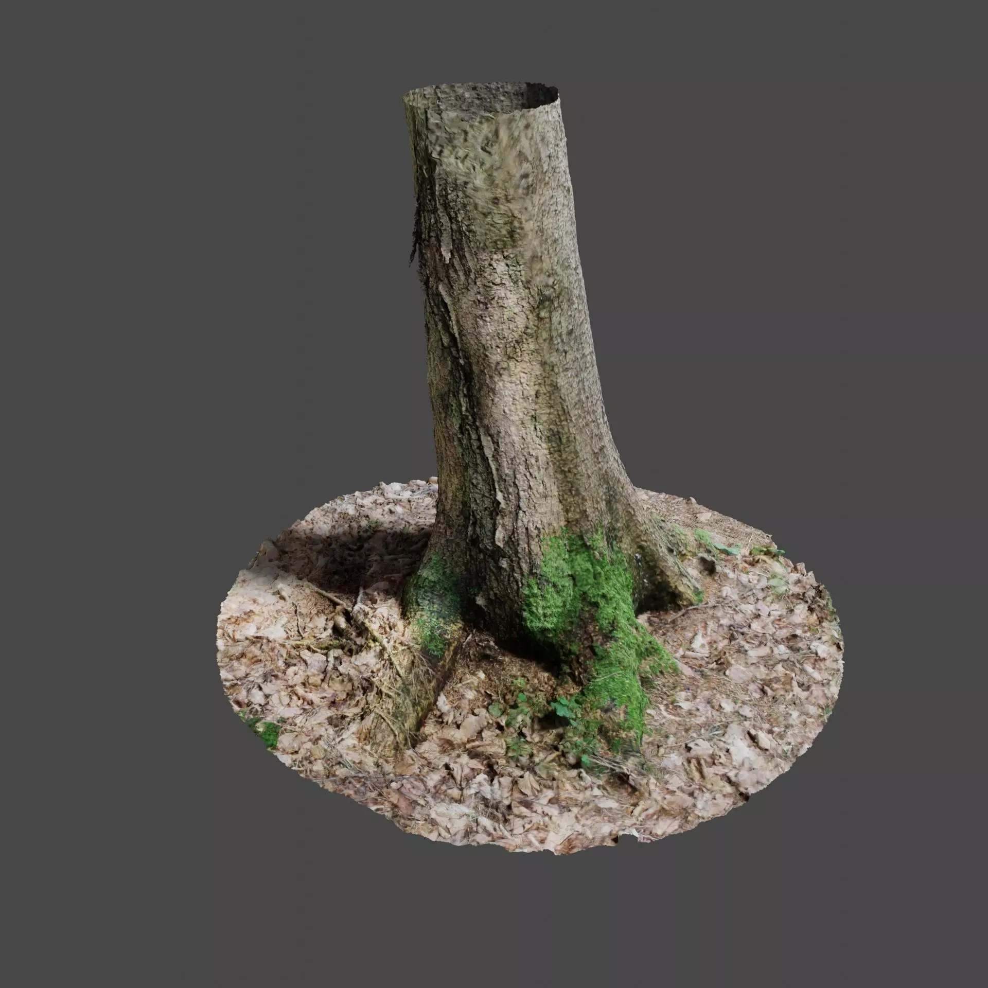 Tree 4 stump with moss 3D model_0