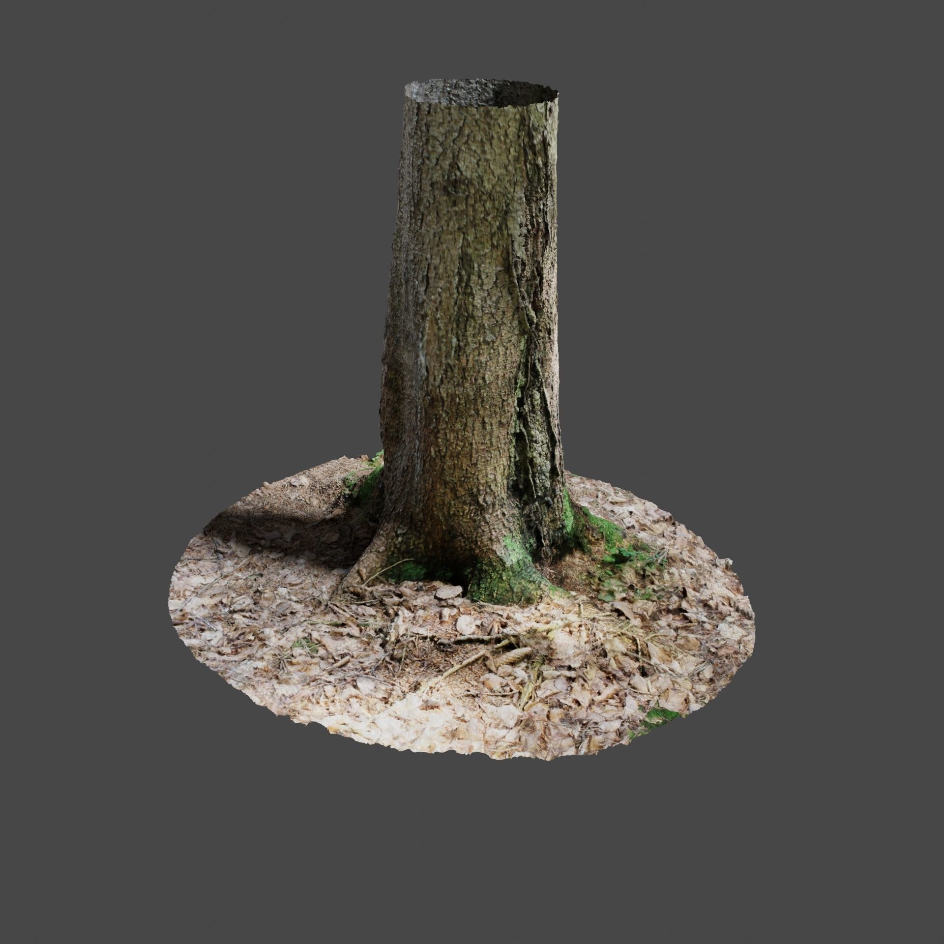 Tree 4 stump with moss 3D model_1