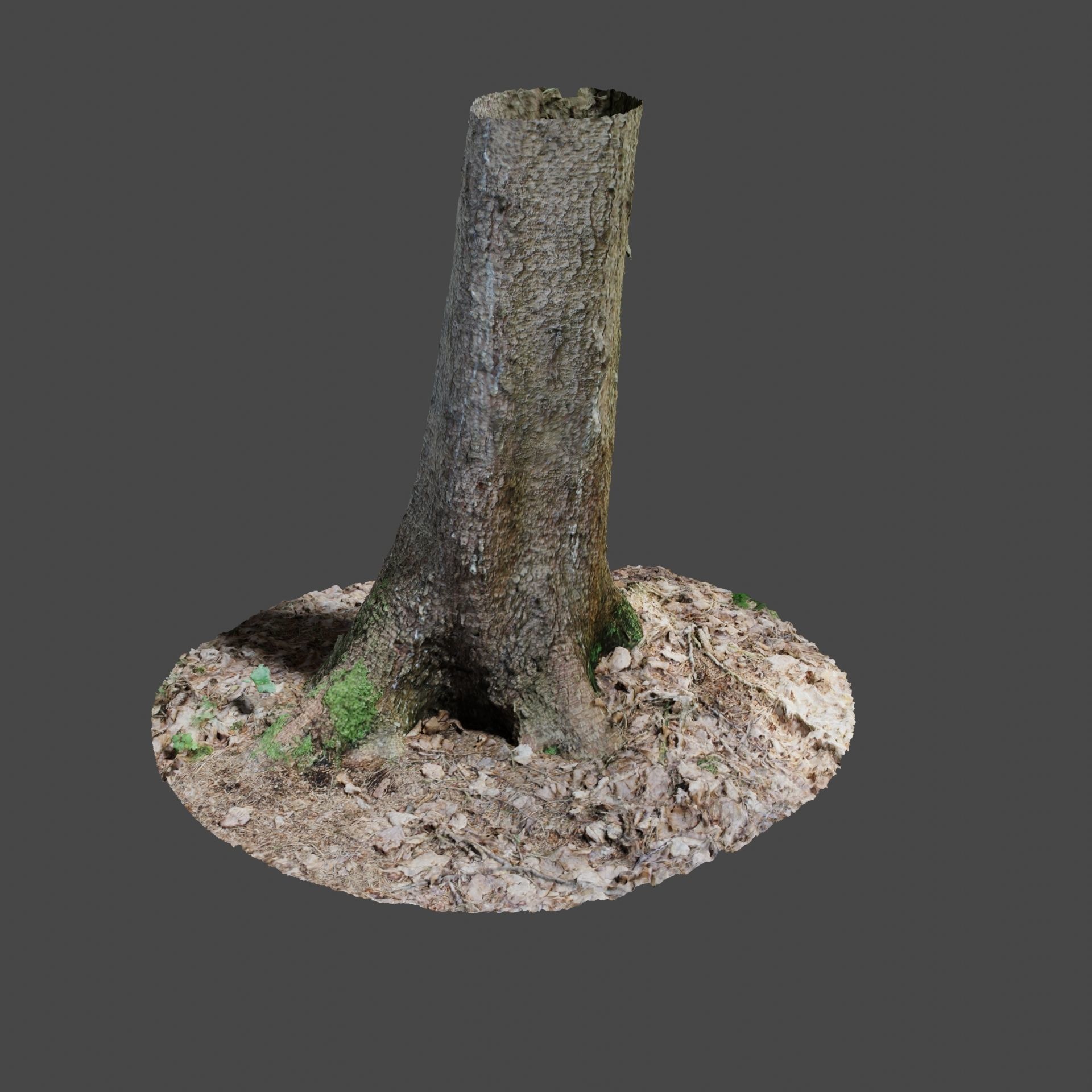 Tree 4 stump with moss 3D model_2