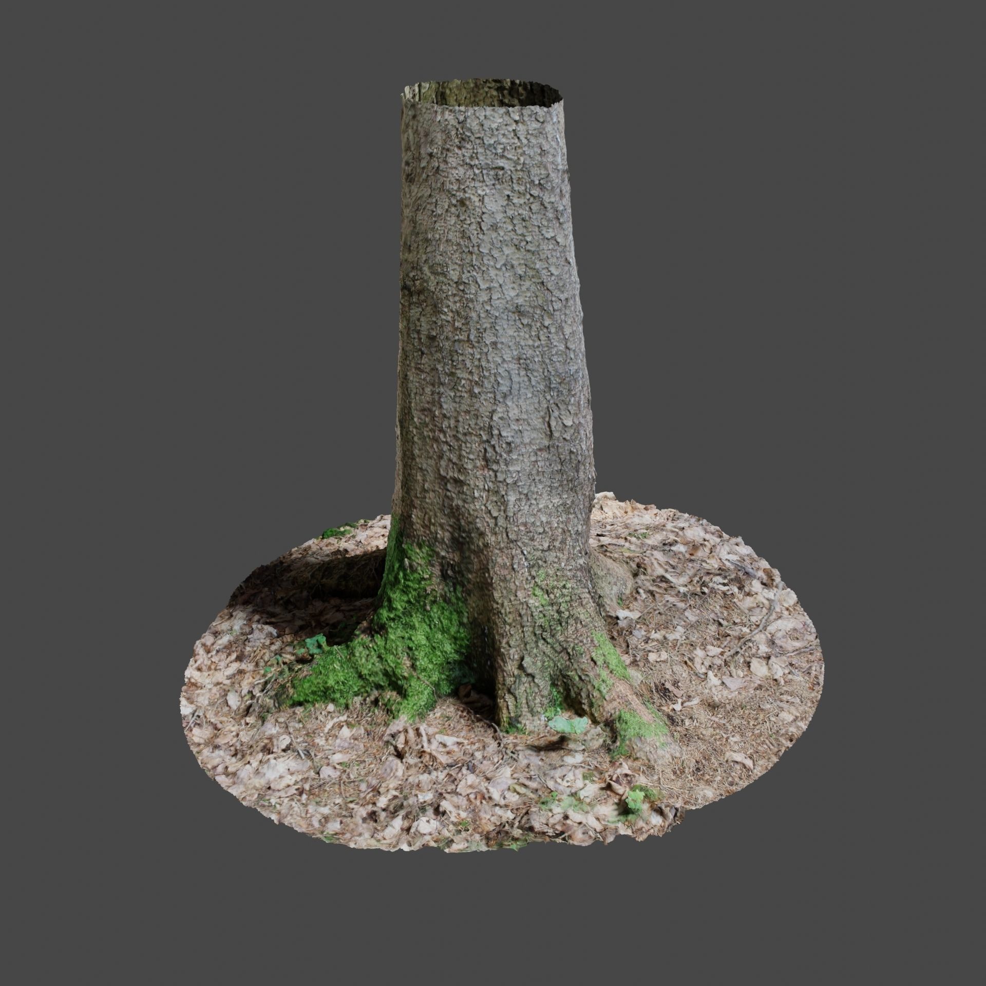 Tree 4 stump with moss 3D model_3
