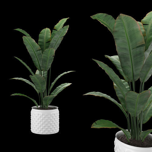 flower pot Low-poly 3D model