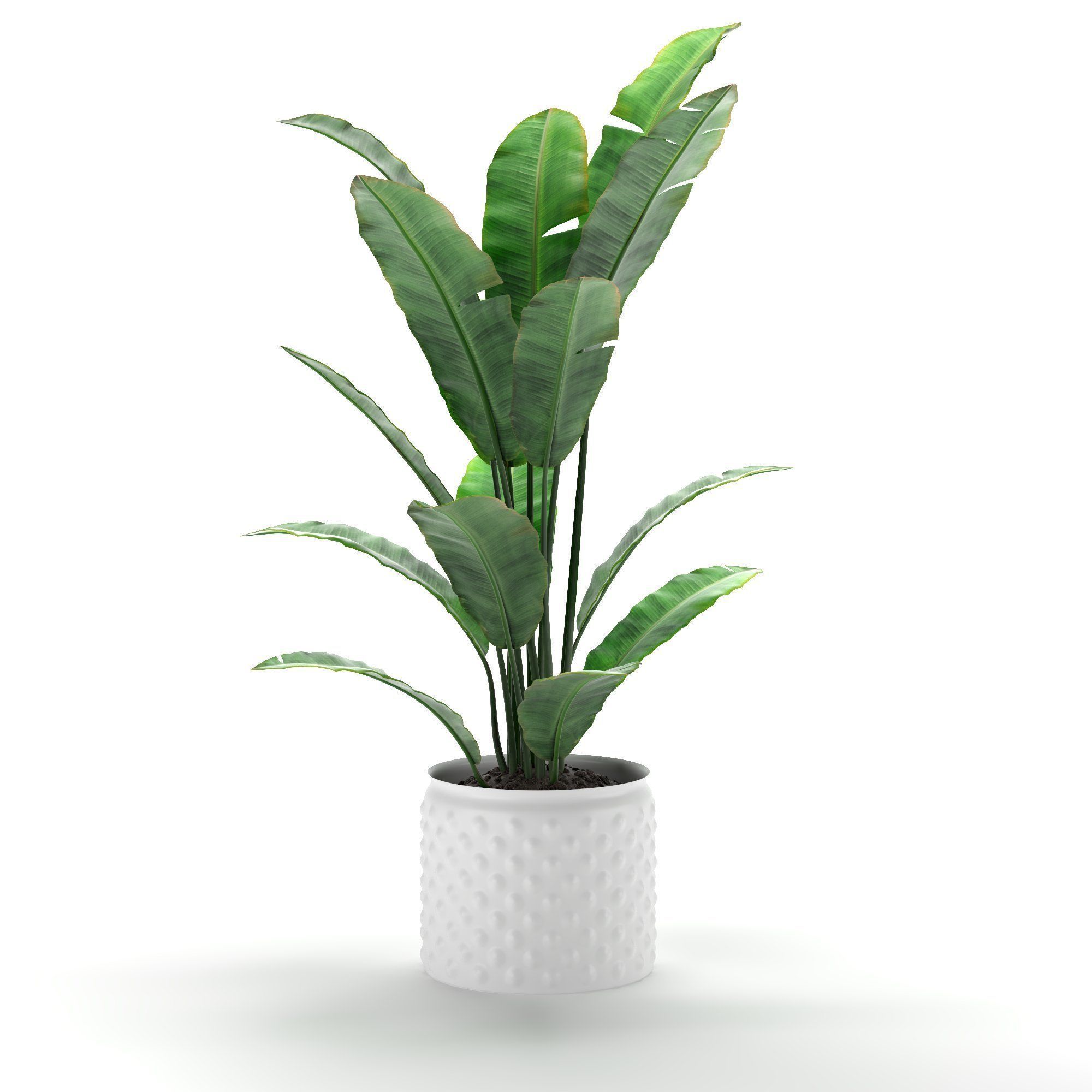 flower pot Low-poly 3D model_3