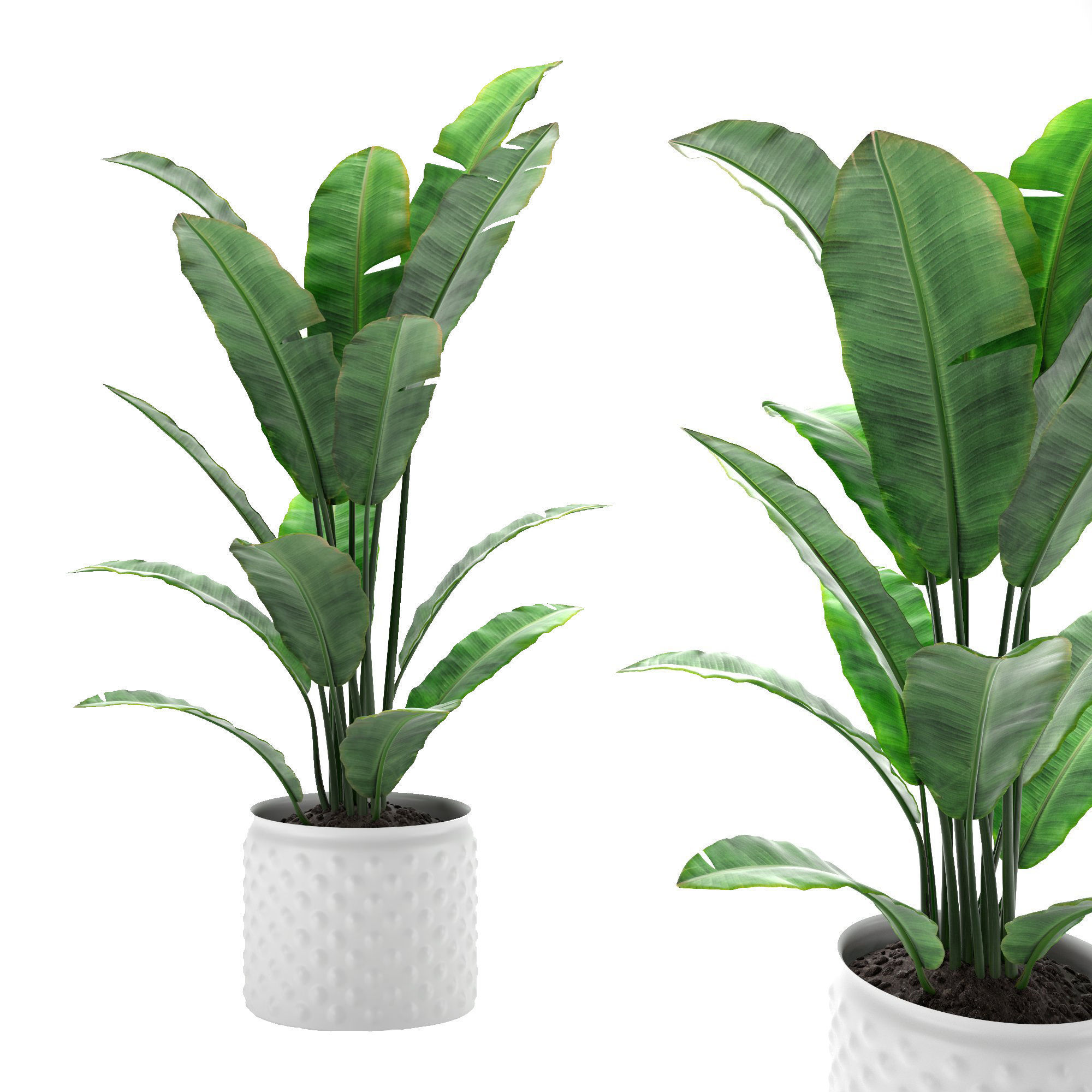 flower pot Low-poly 3D model_2