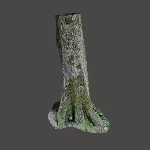 Tree 5 stump with moss