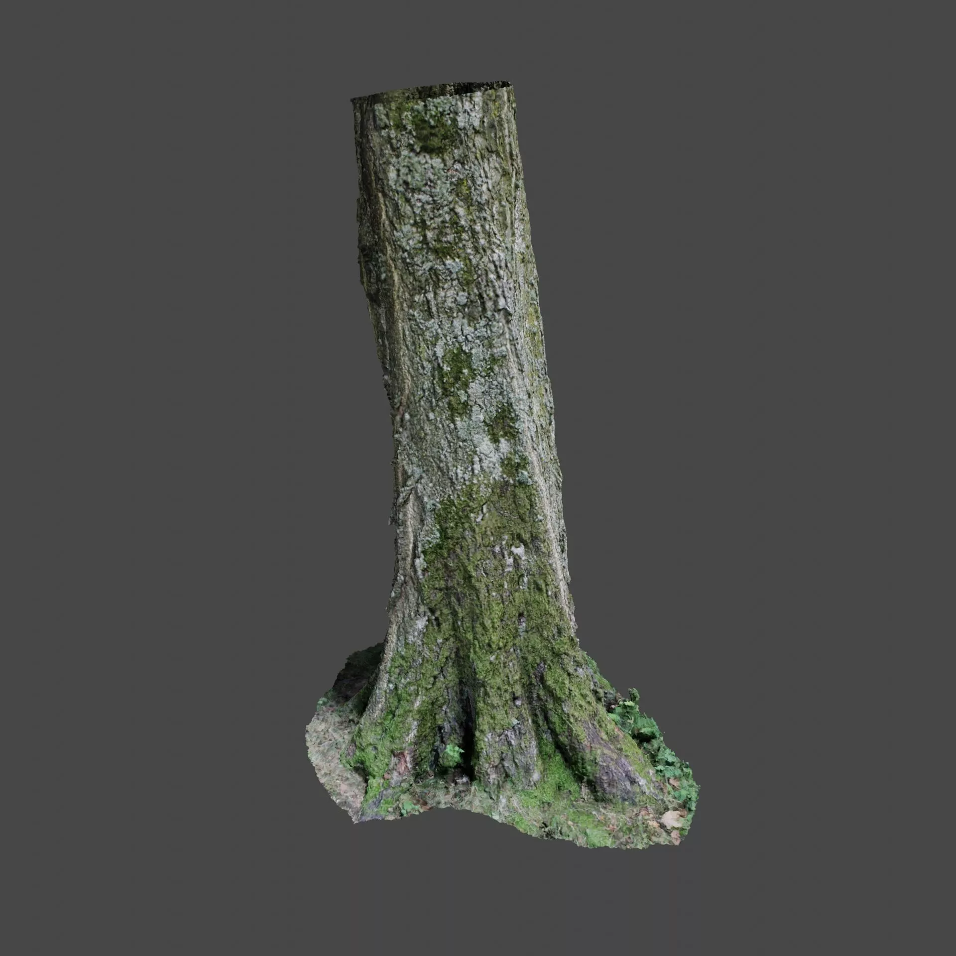 Tree 5 stump with moss 3D model