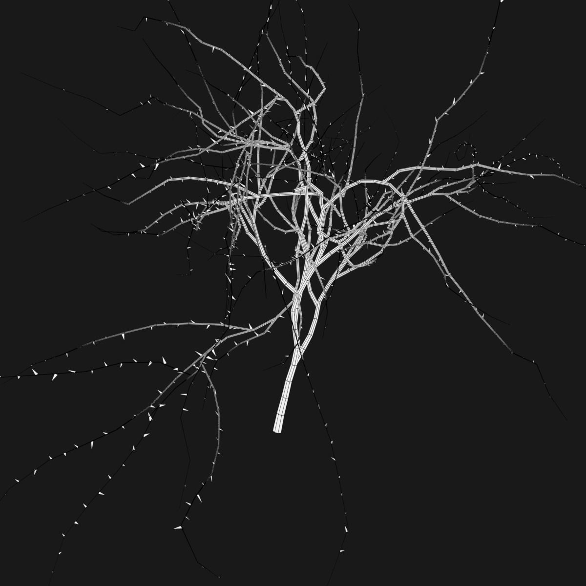 Thin Branch Low-poly 3D model_7