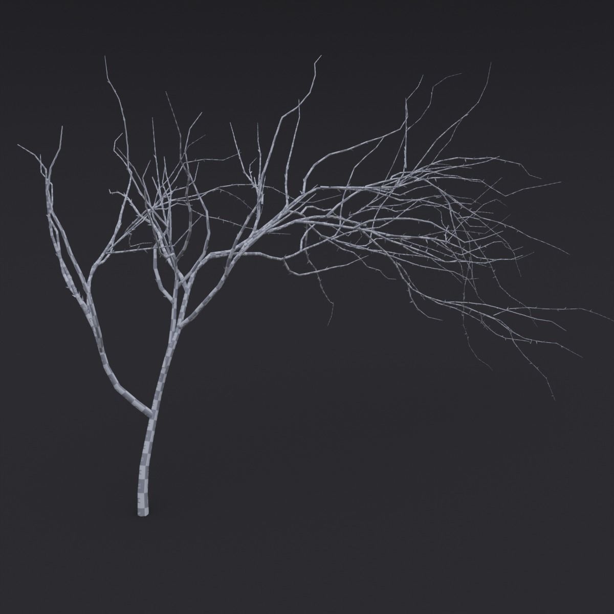 Thin Branch Low-poly 3D model_5