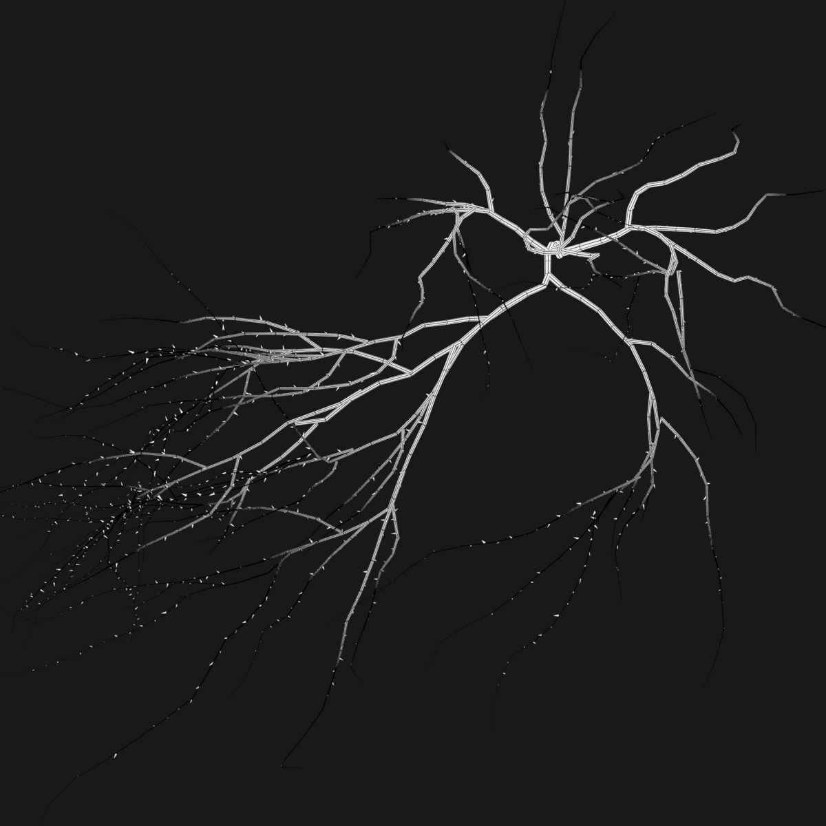 Thin Branch Low-poly 3D model_8