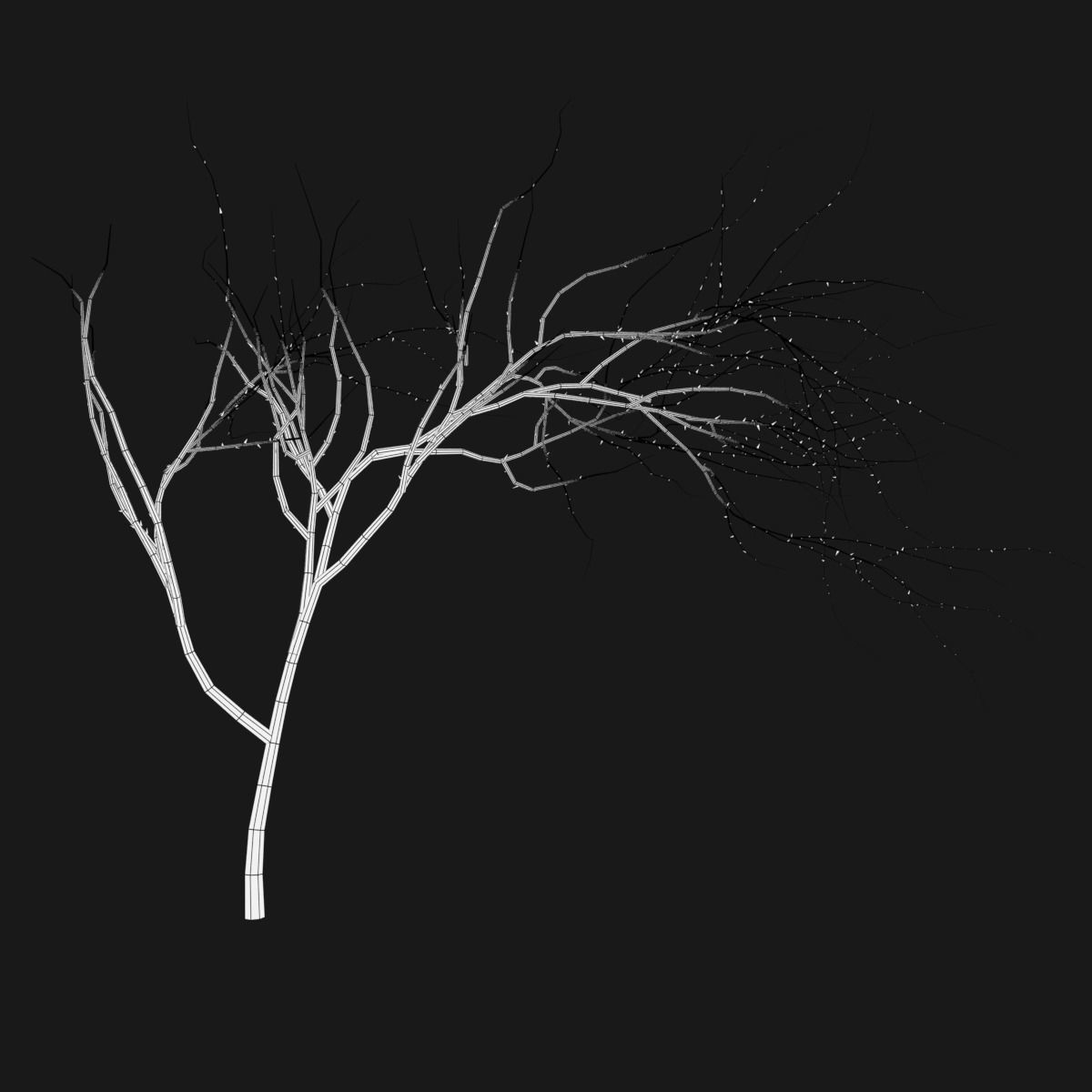 Thin Branch Low-poly 3D model_6