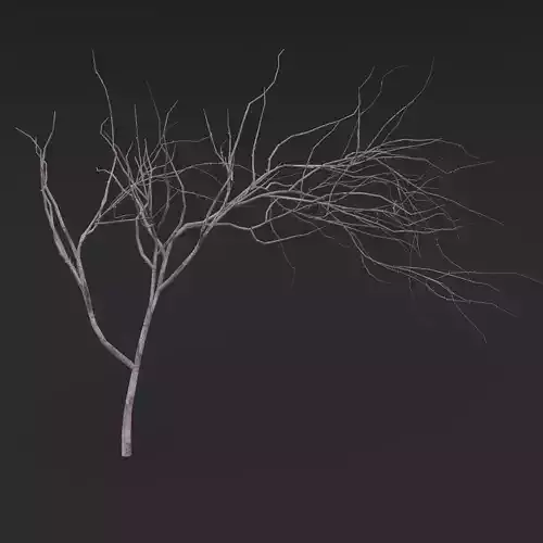 Thin Branch Low-poly 3D model