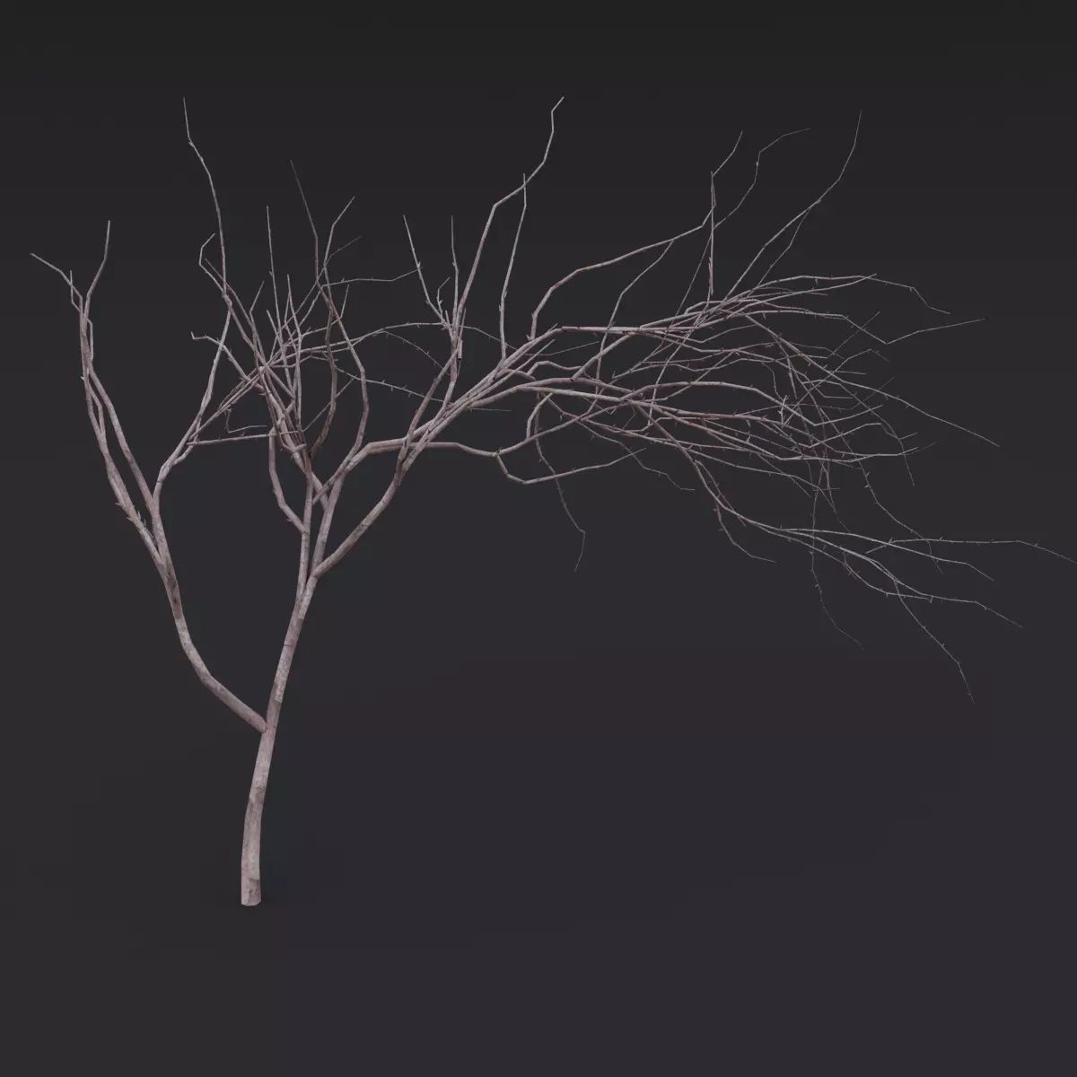 Thin Branch Low-poly 3D model_0