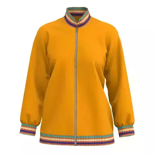 Women   fashion sweater 3D renderings  design drawings 3D model
