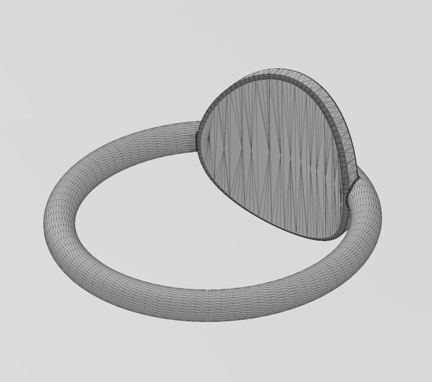 Simple wire coin ring US sizes 5to9 3D print model_14