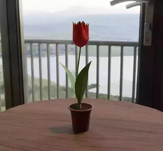 Tulip on wooden table 3D model