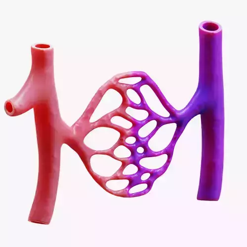 Blood Vessels 3D model
