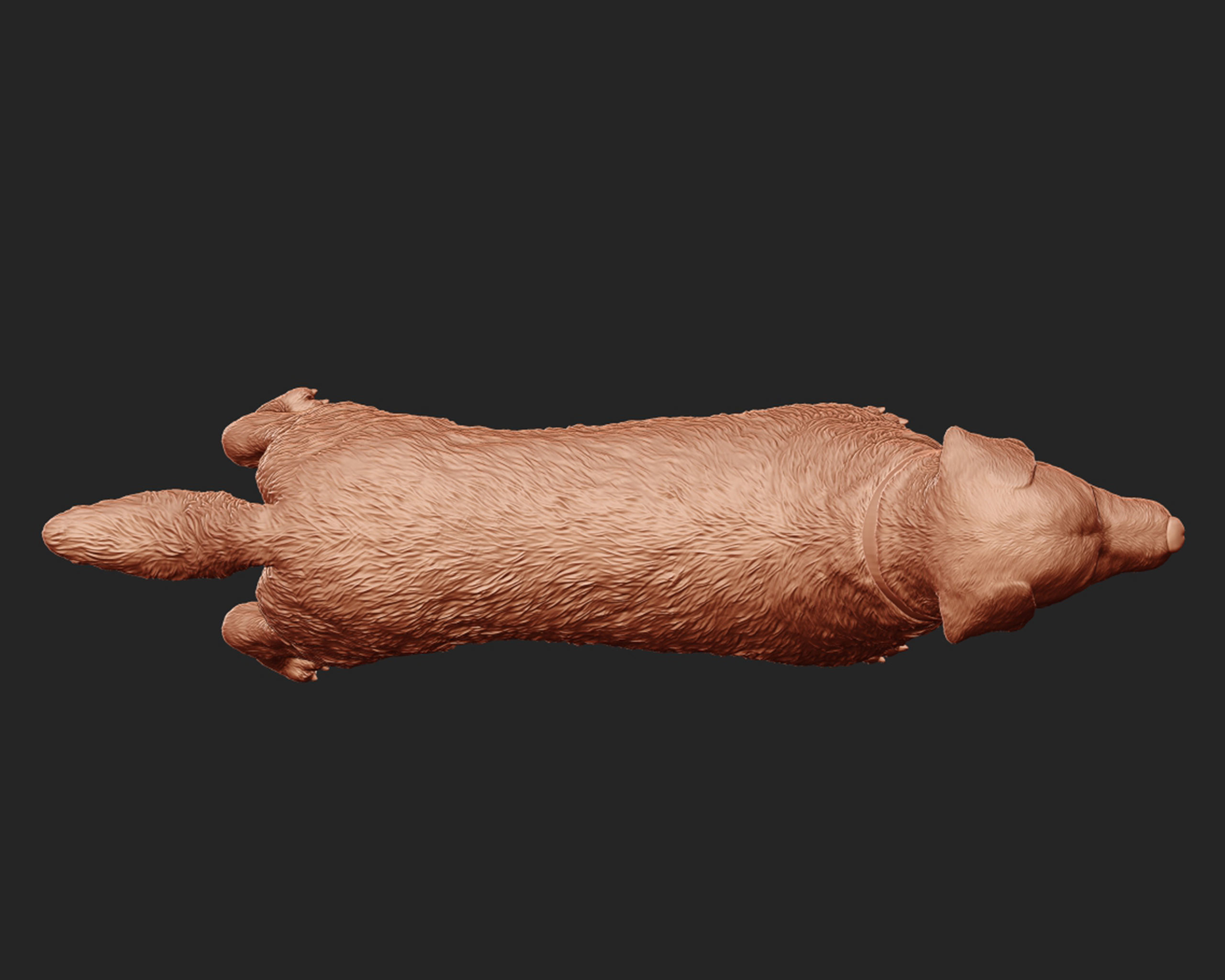 Labrador Retriever model 3D print model_10