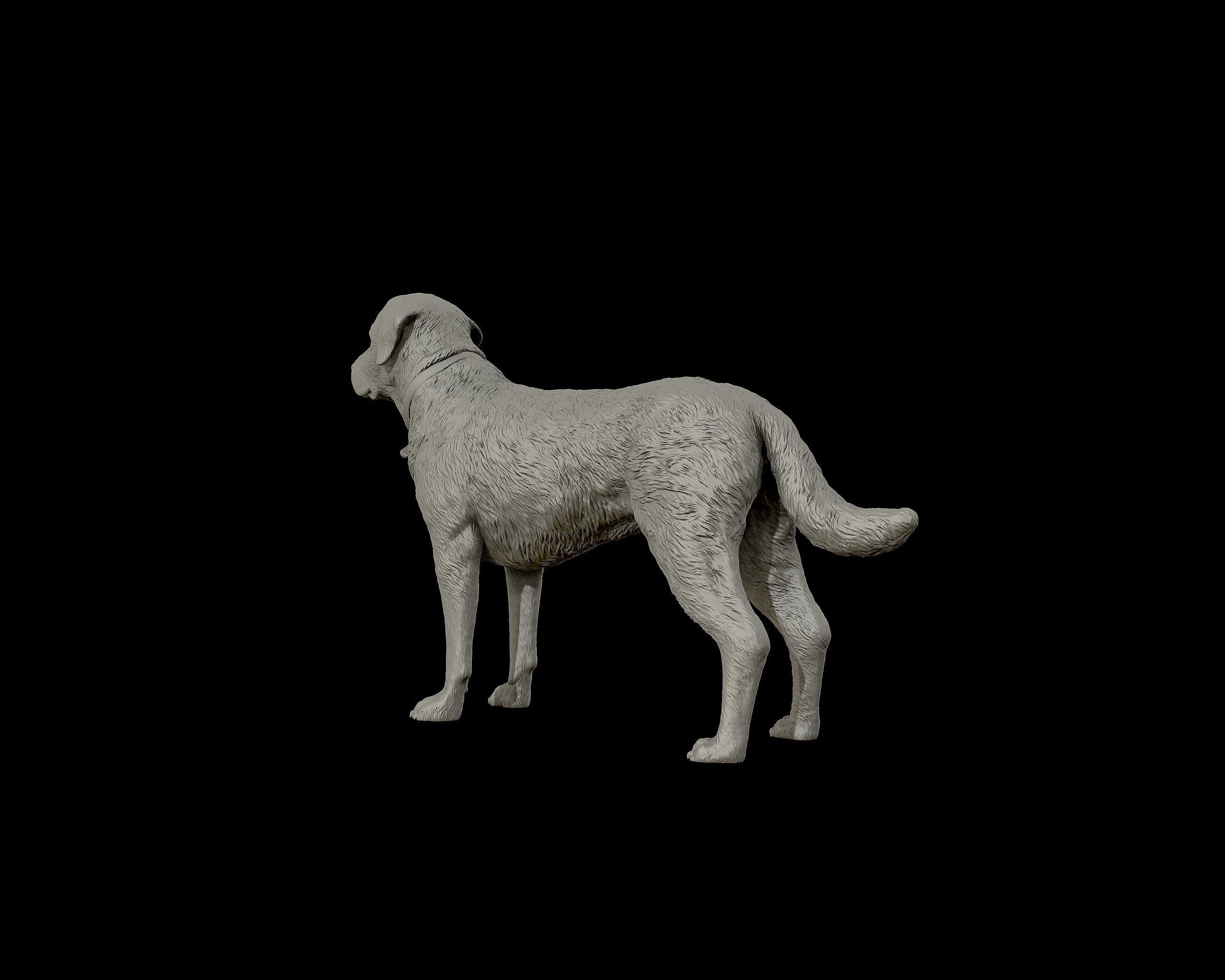 Labrador Retriever model 3D print model_18