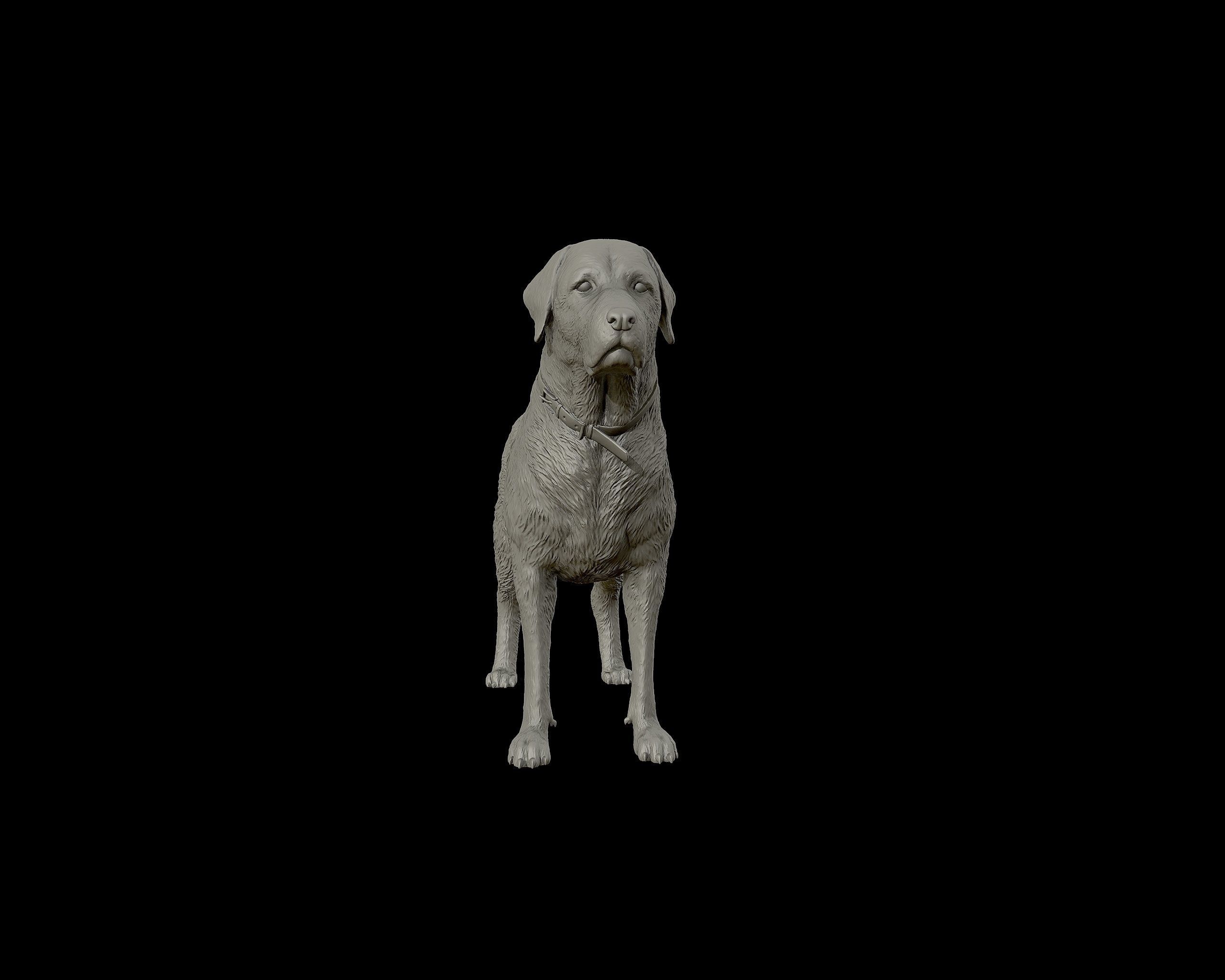 Labrador Retriever model 3D print model_12