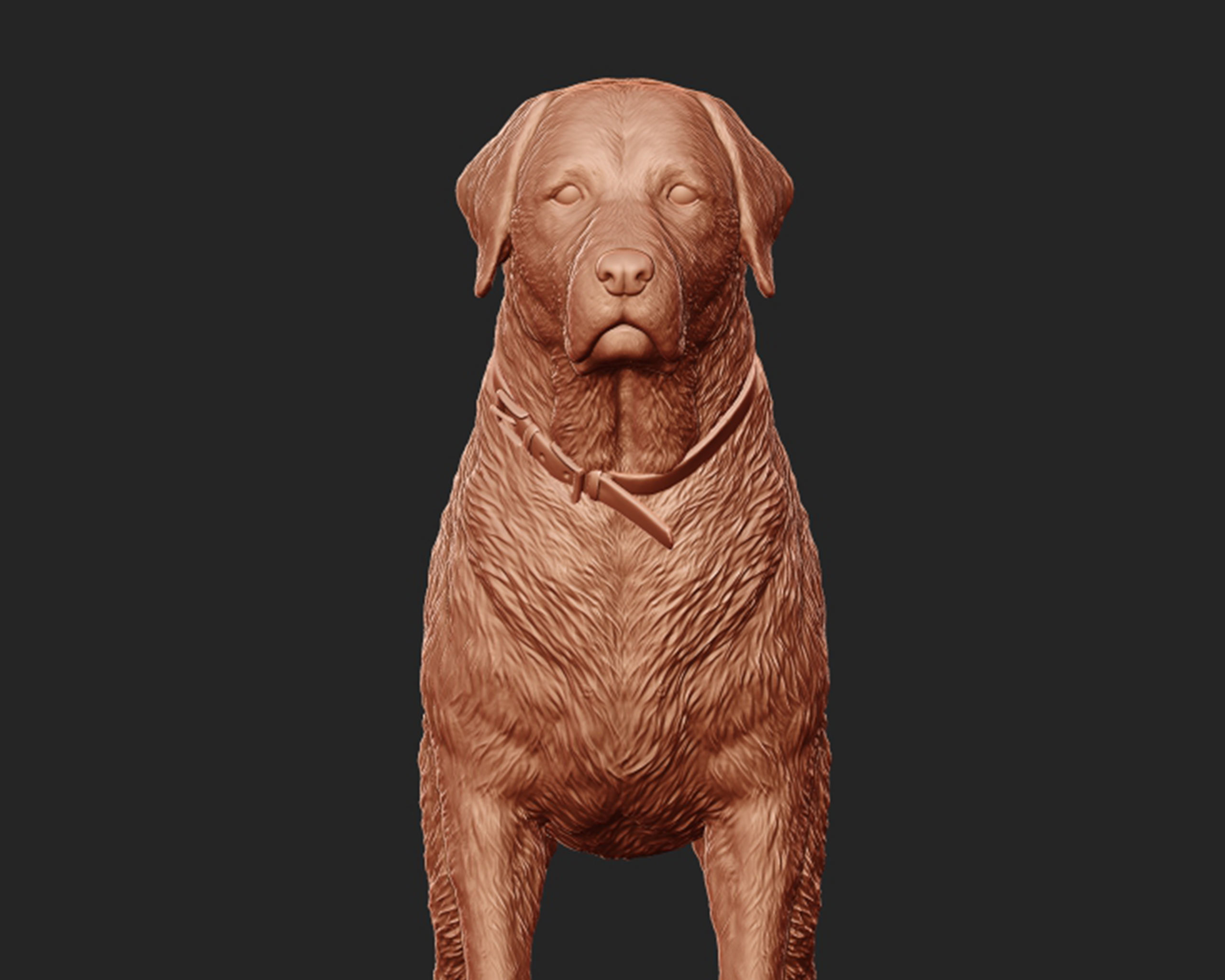 Labrador Retriever model 3D print model_4