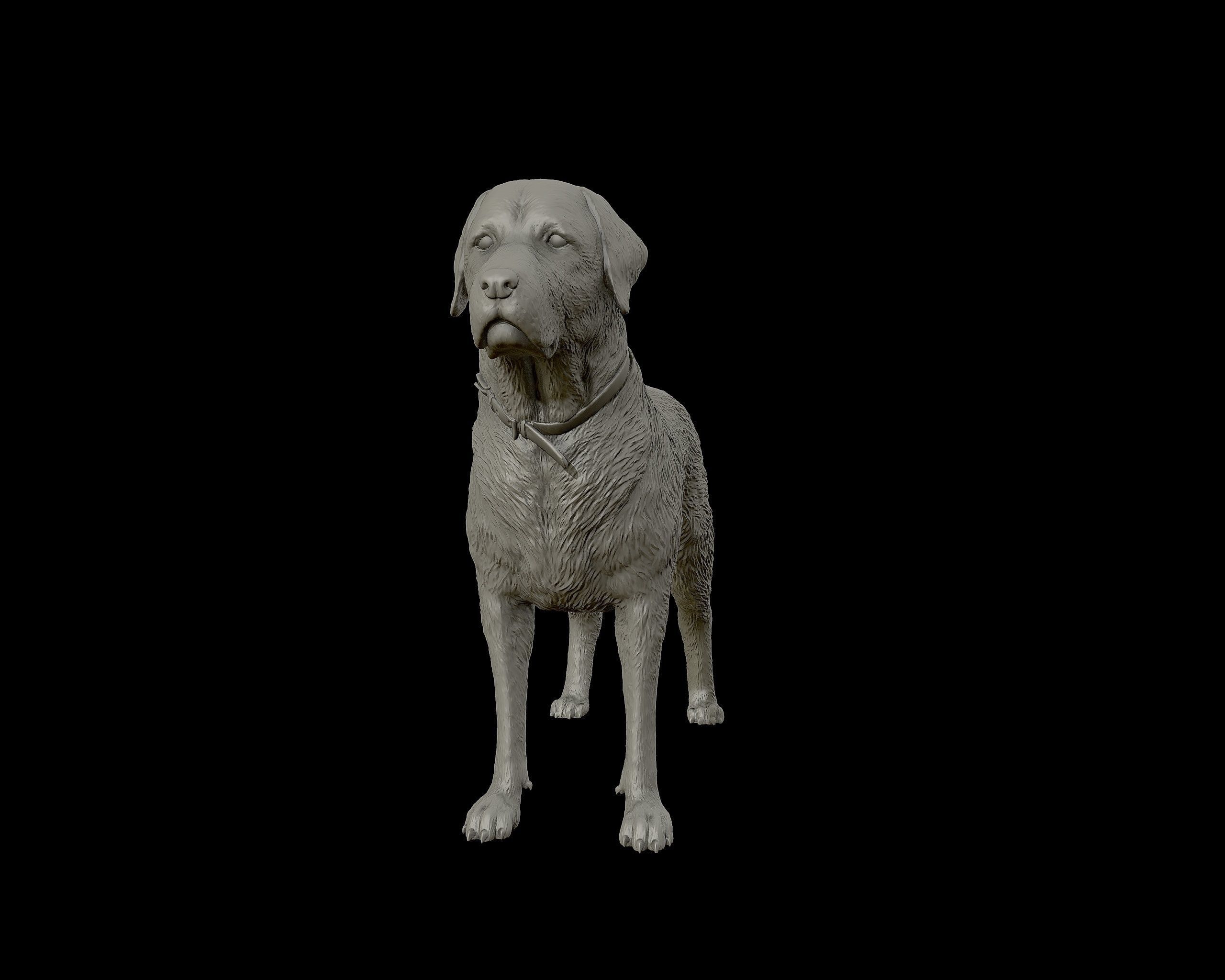 Labrador Retriever model 3D print model_24