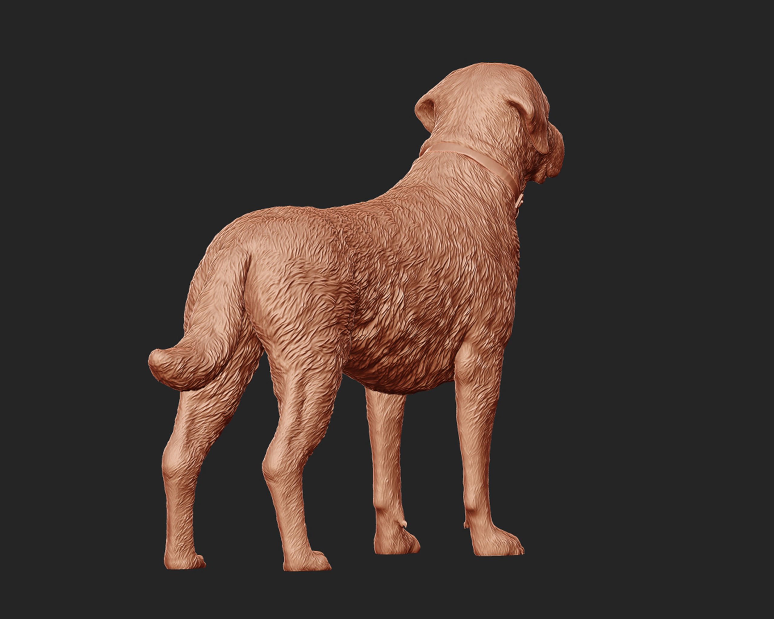 Labrador Retriever model 3D print model_6