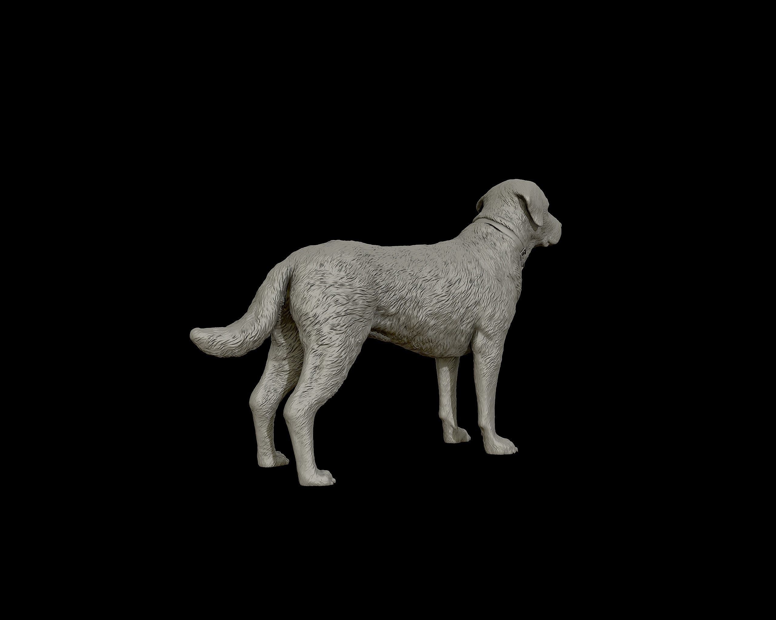 Labrador Retriever model 3D print model_19