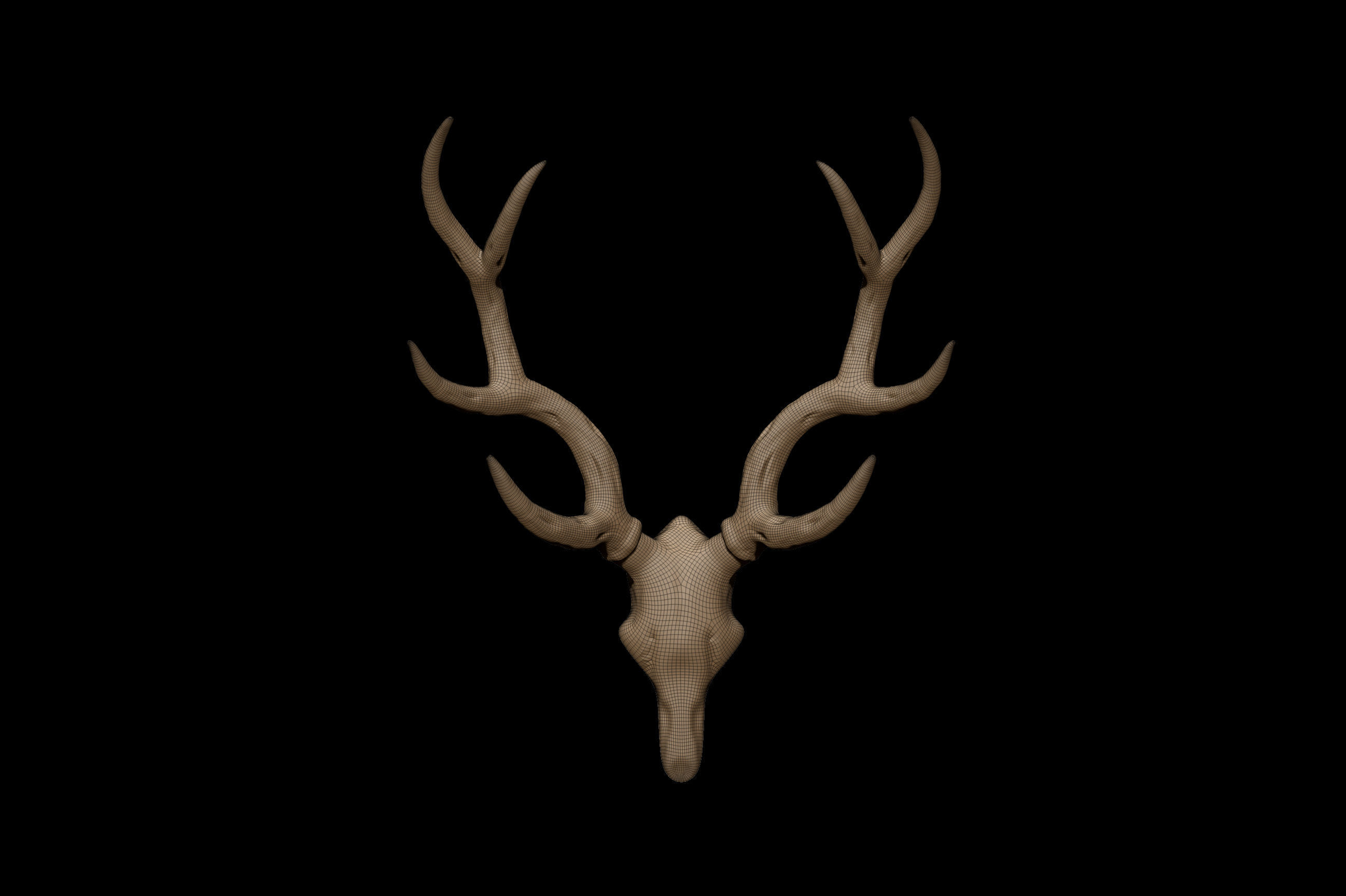 Antler deer skull 3D model_4