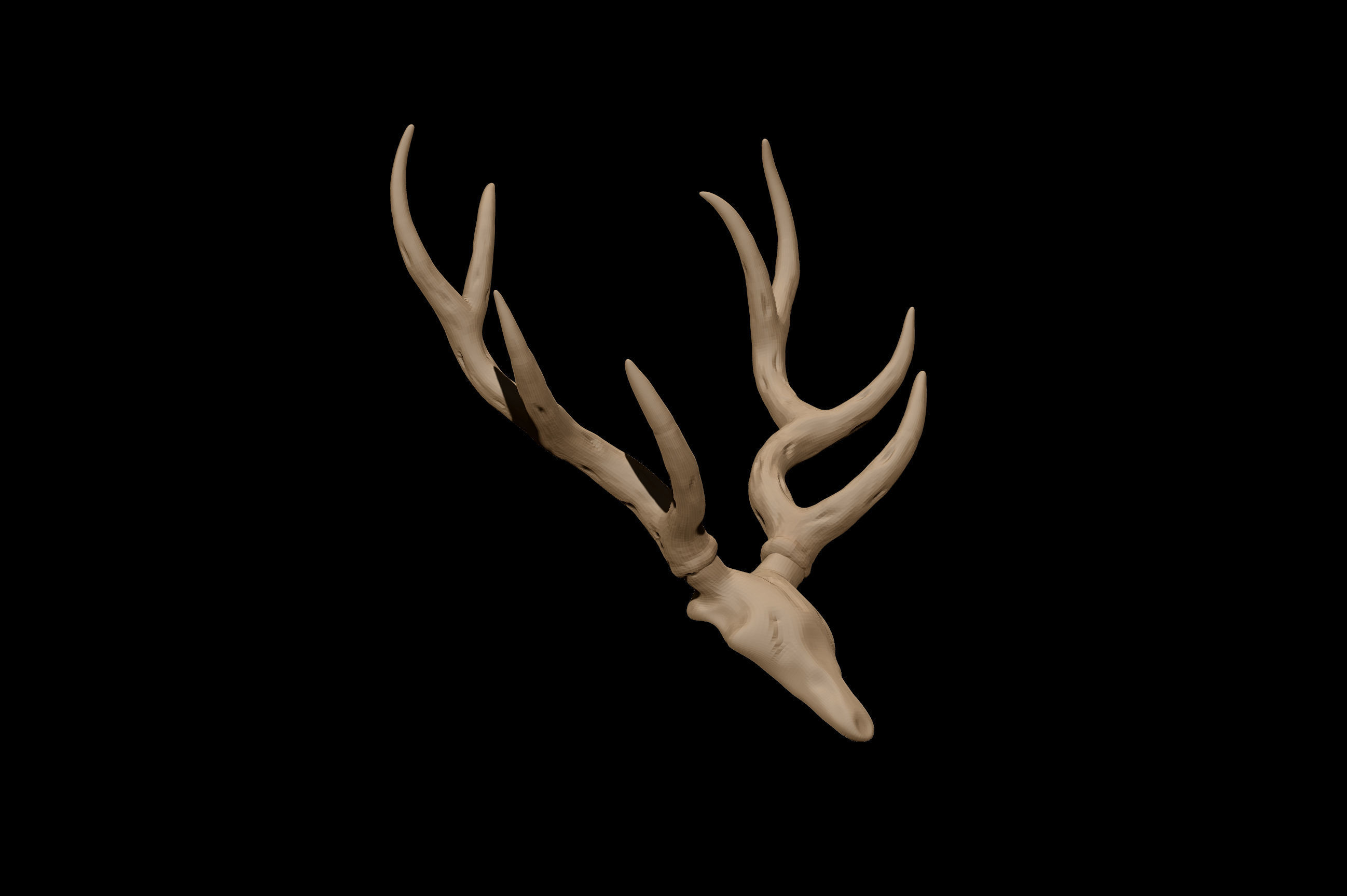 Antler deer skull 3D model_3