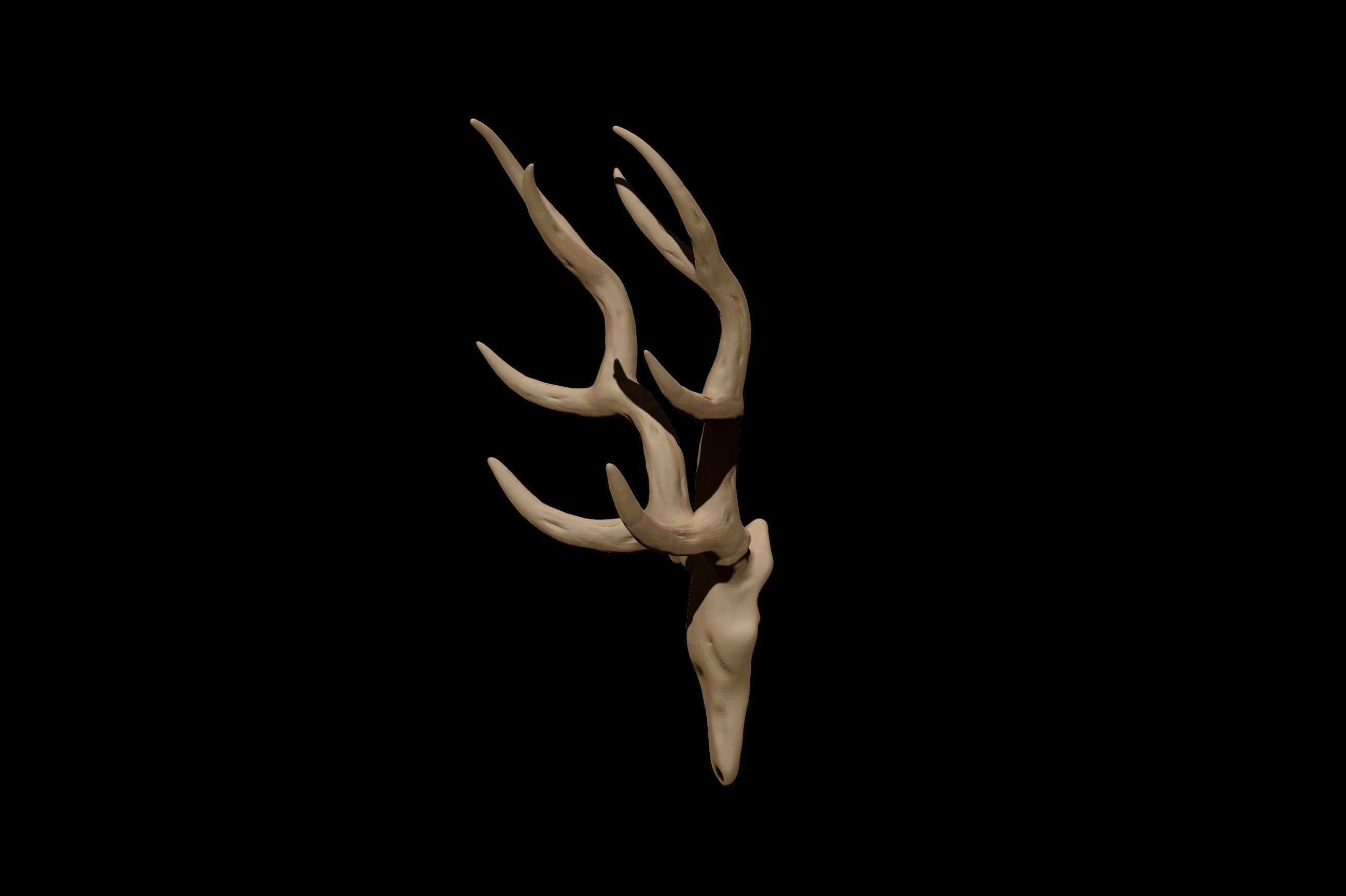 Antler deer skull 3D model_1