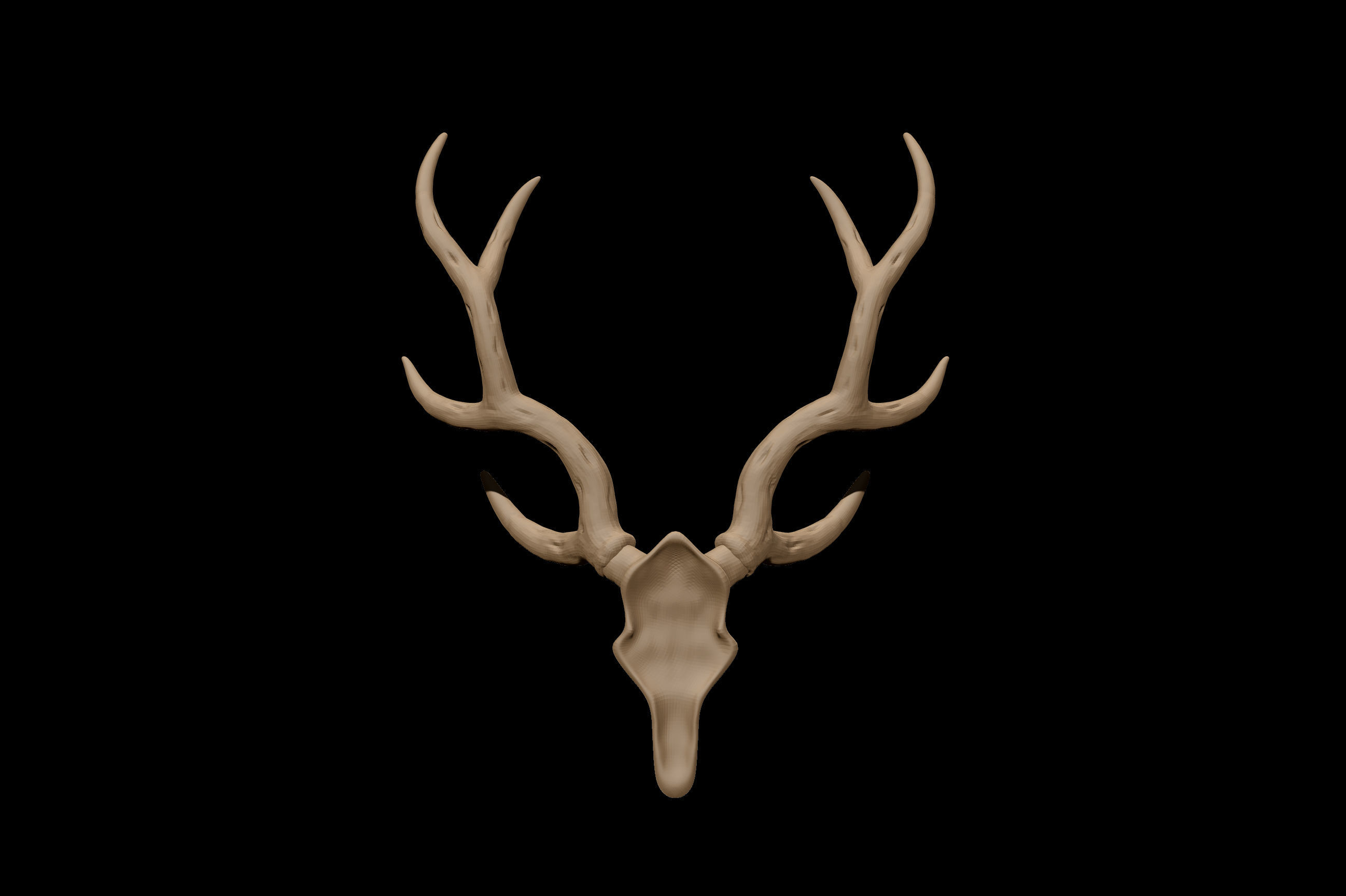 Antler deer skull 3D model_2