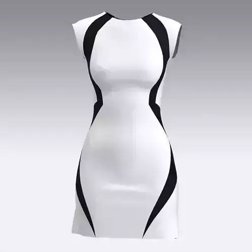 DRESS BLACK AND WHITE LOOK