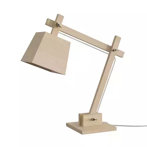 Wood Lamp 3D model