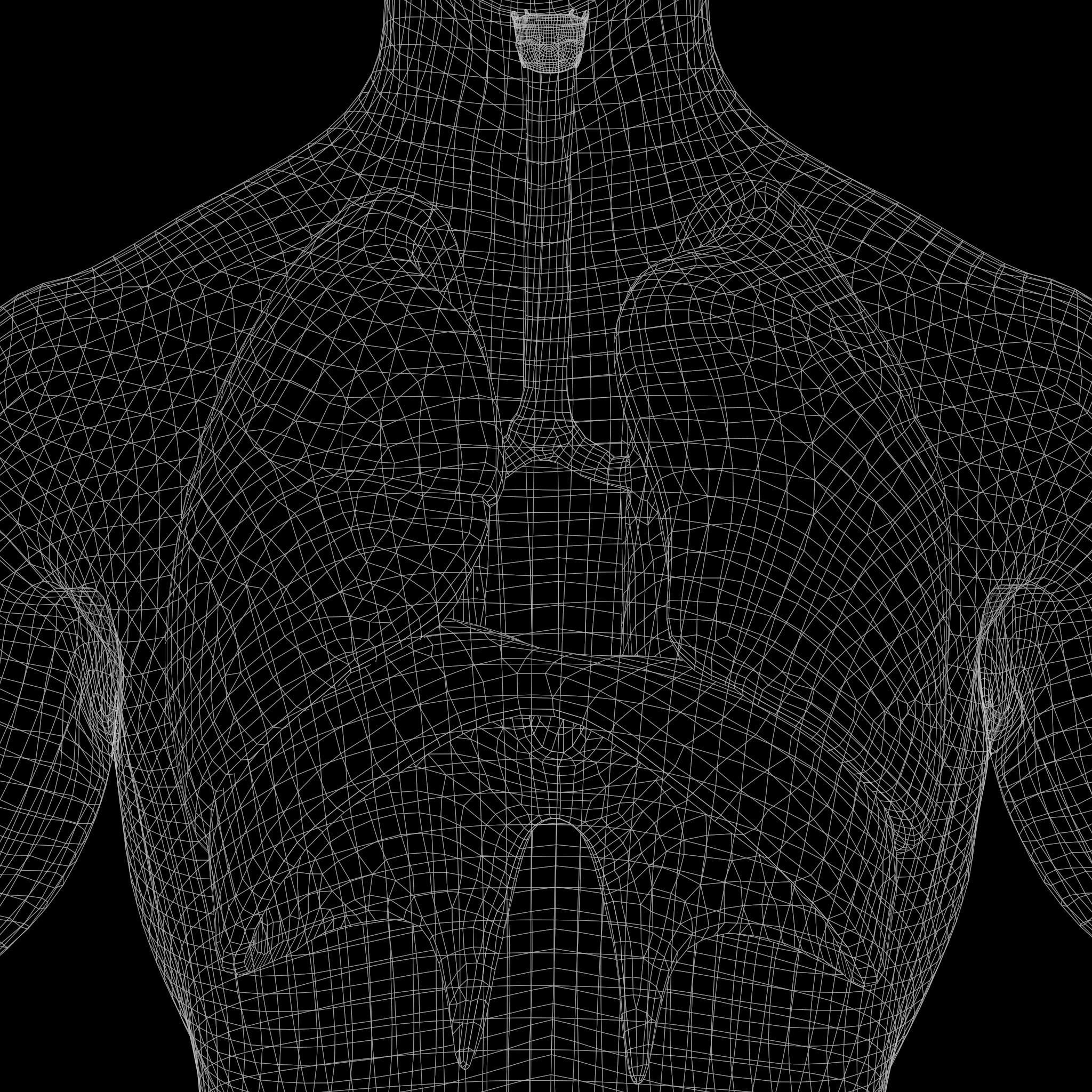 Human Respiratory System Lungs 3D model_12