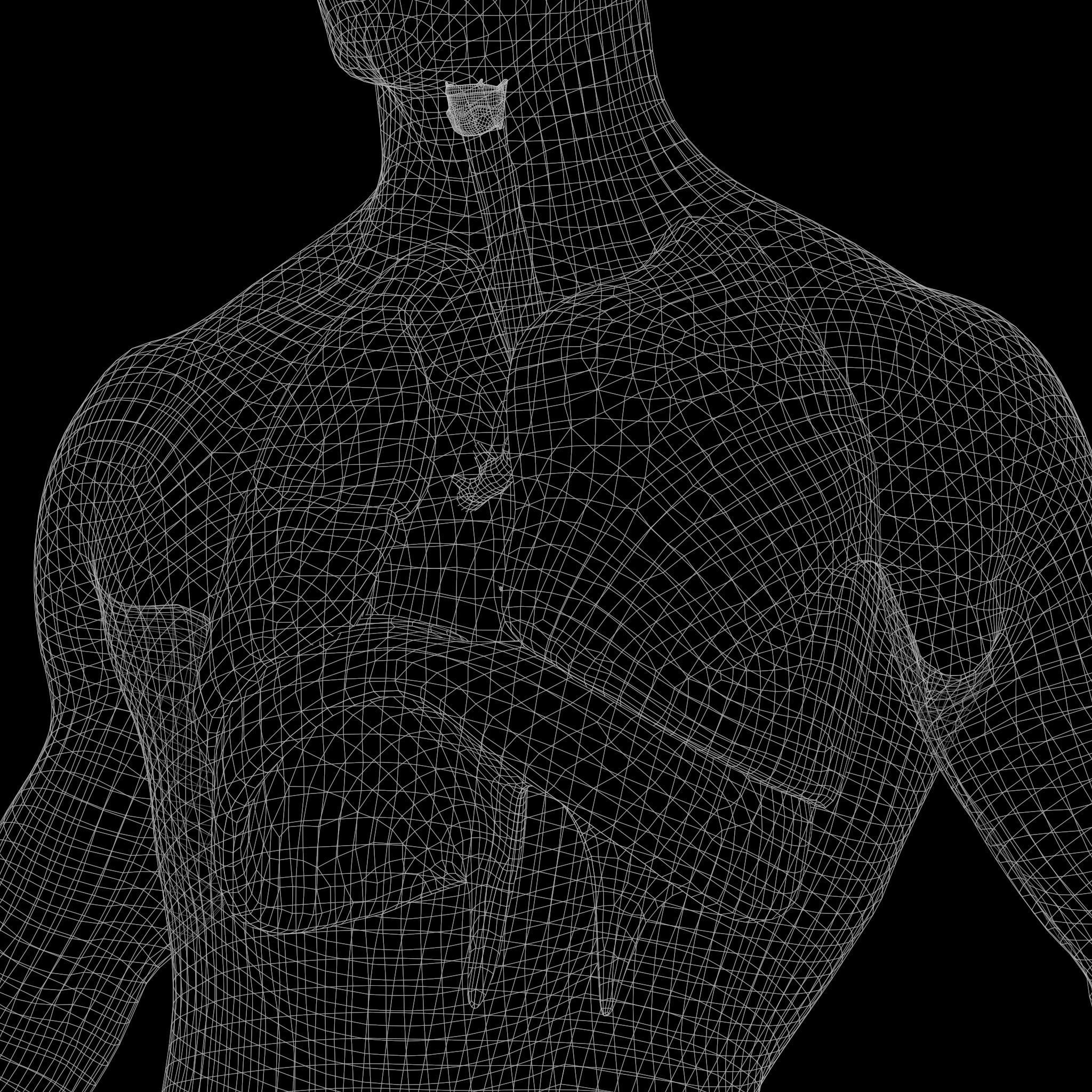 Human Respiratory System Lungs 3D model_15